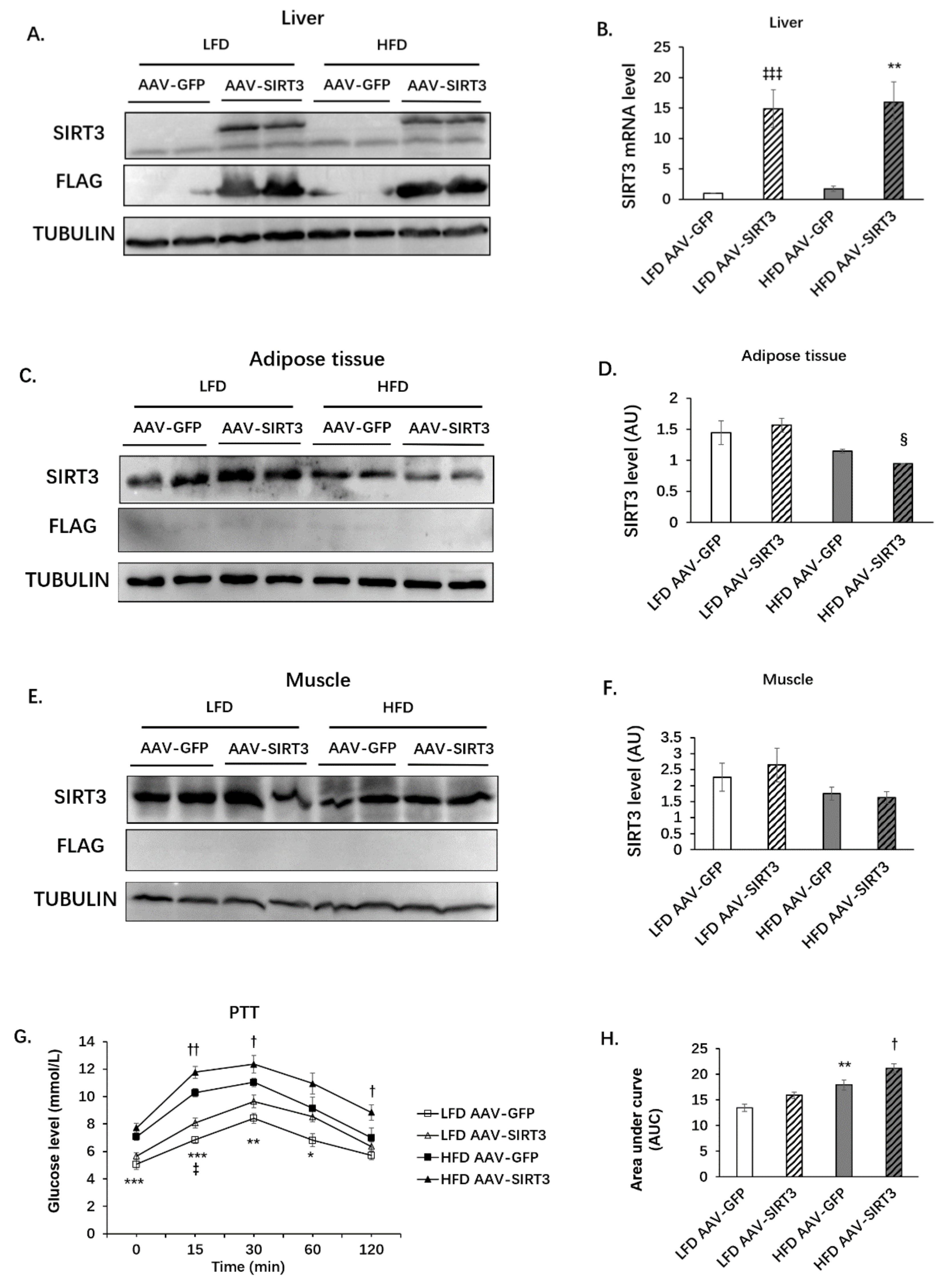 Nutrients 14 01482 g005