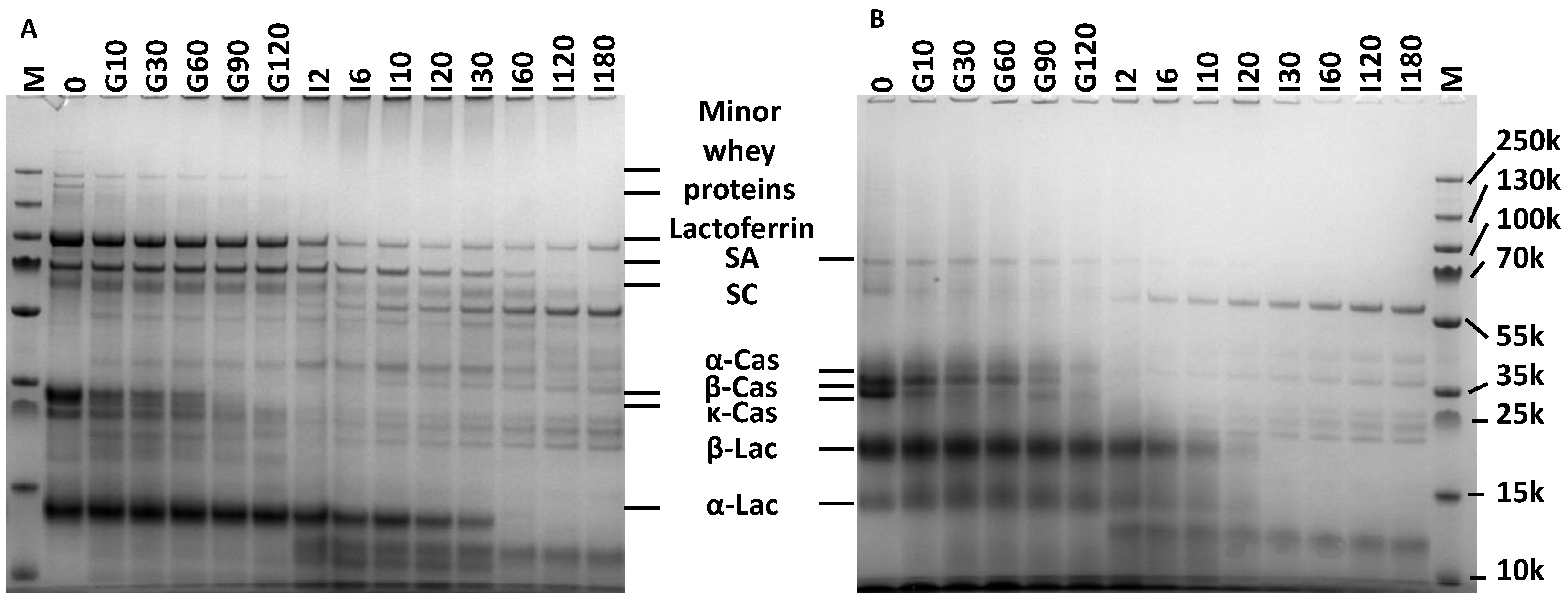 Nutrients 14 01512 g004