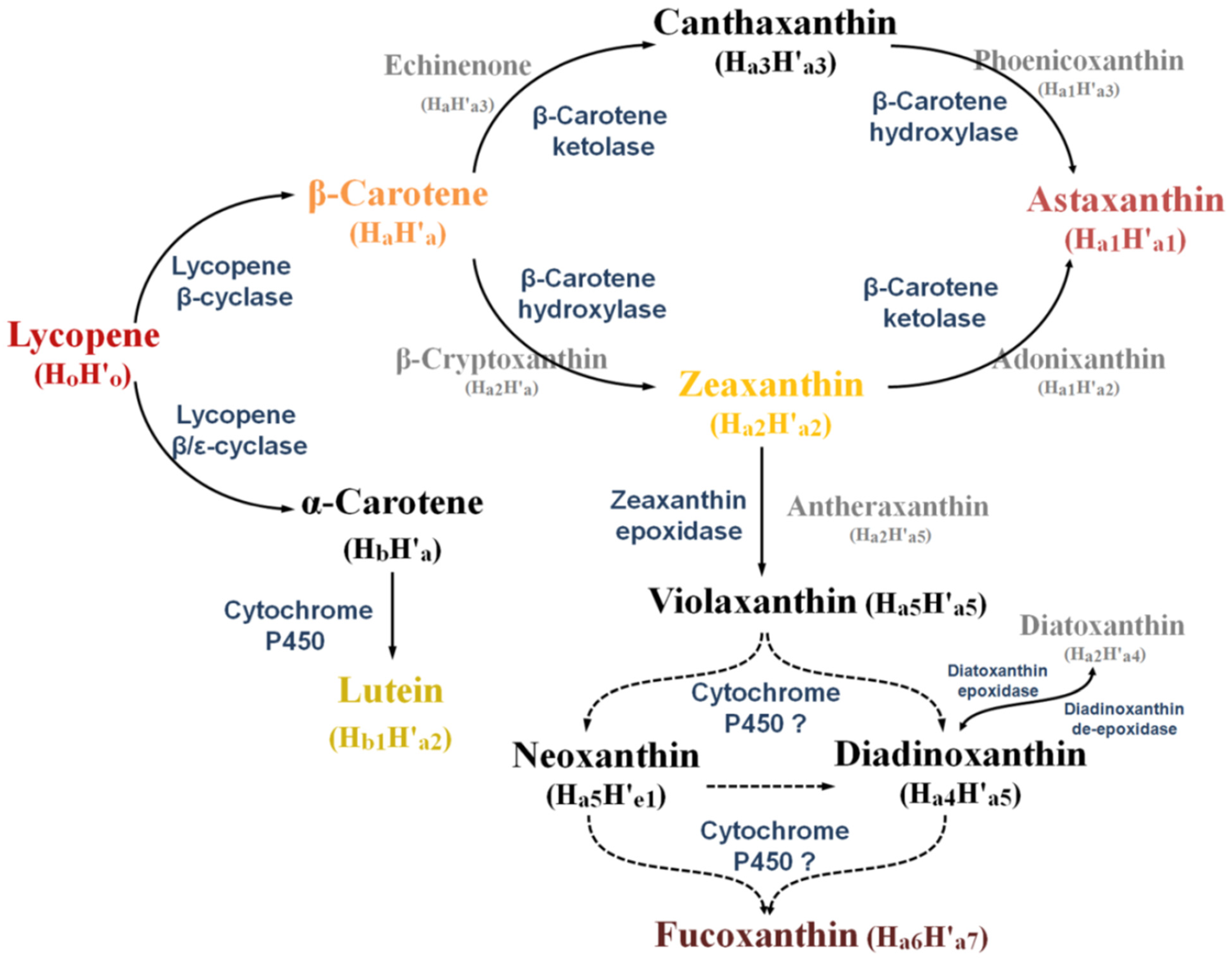 Nutrients 14 01522 g002