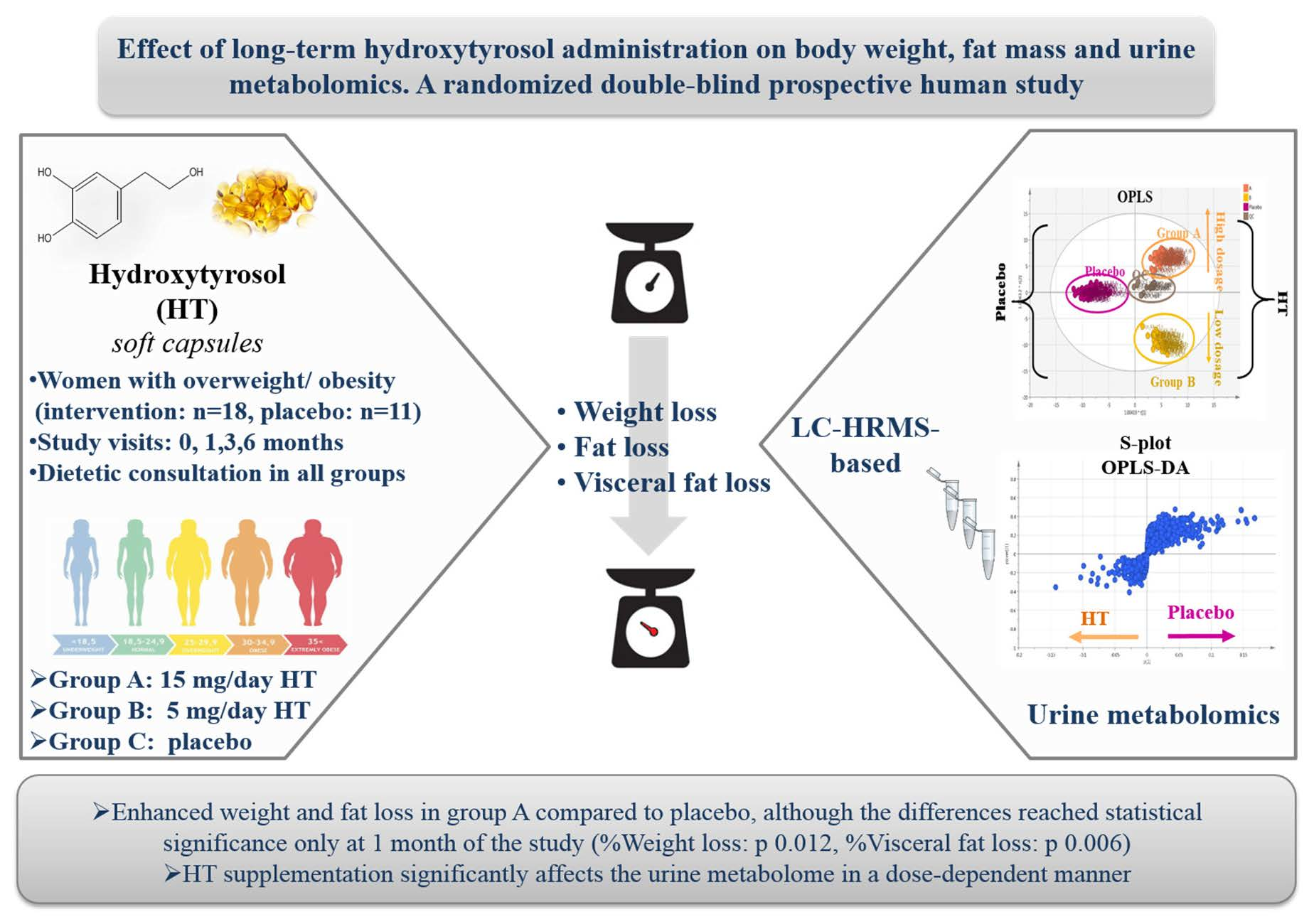 Nutrients | Free Full-Text | Effect of Long-Term Hydroxytyrosol  Administration on Body Weight, Fat Mass and Urine Metabolomics: A  Randomized Double-Blind Prospective Human Study