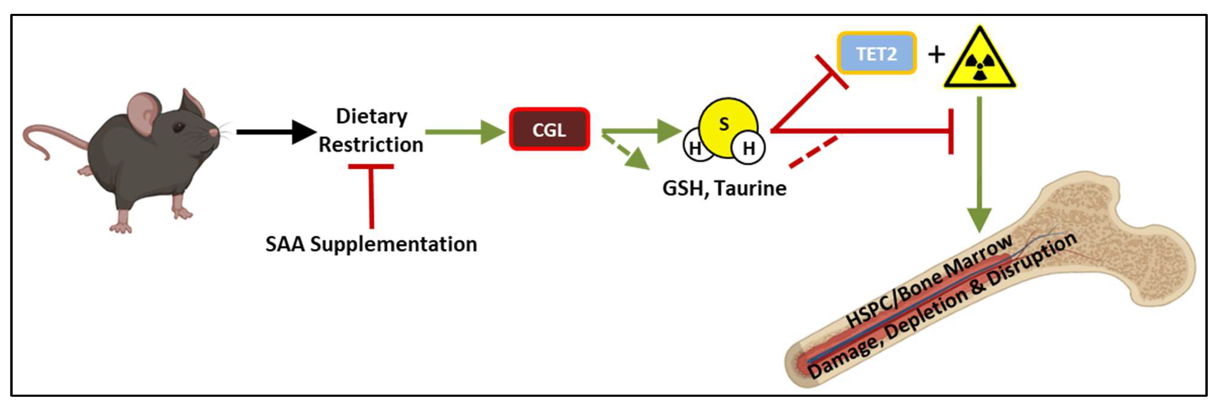 Nutrients 14 01529 g005 Nutrients 14 01529 g005