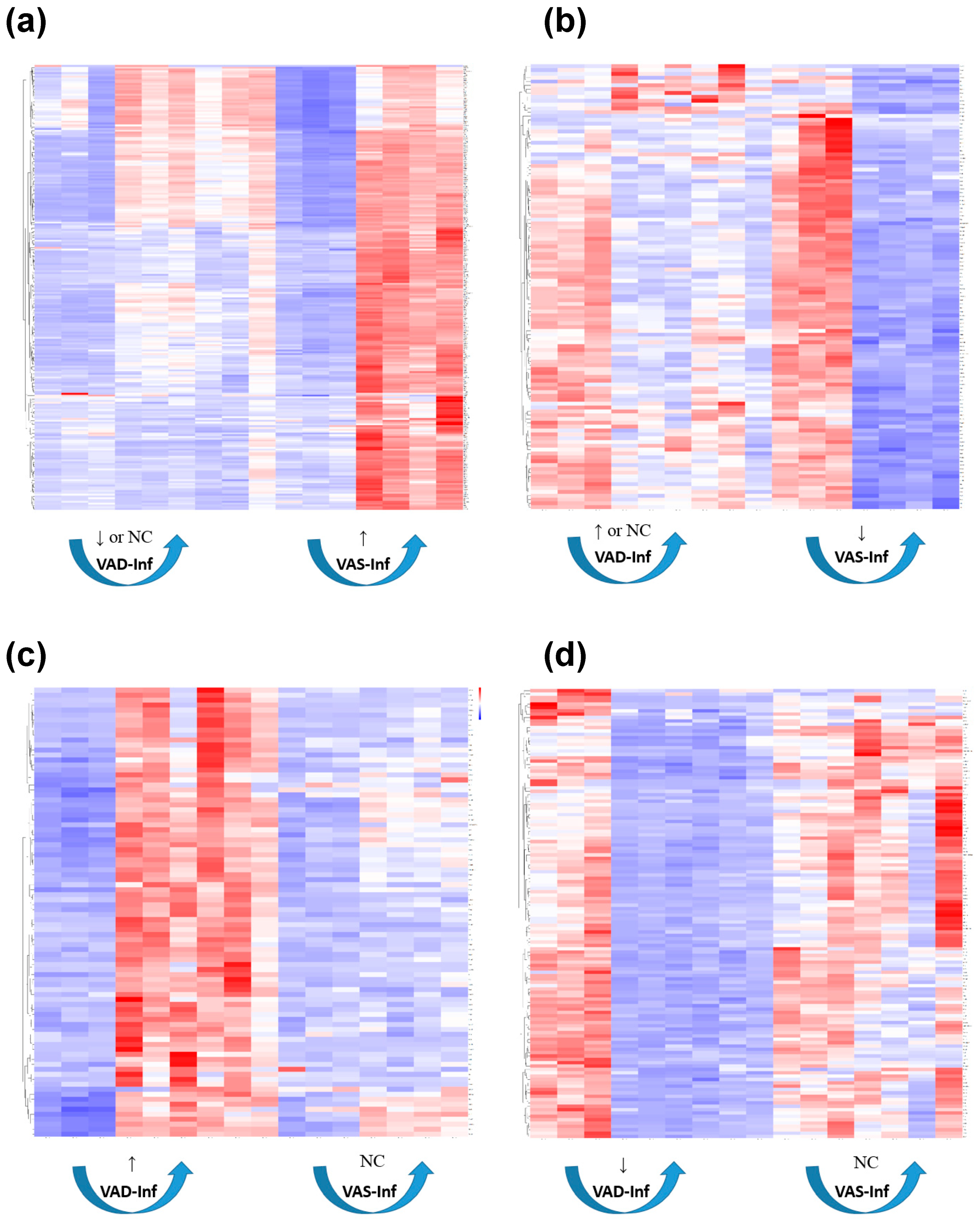 Nutrients 14 01563 g003