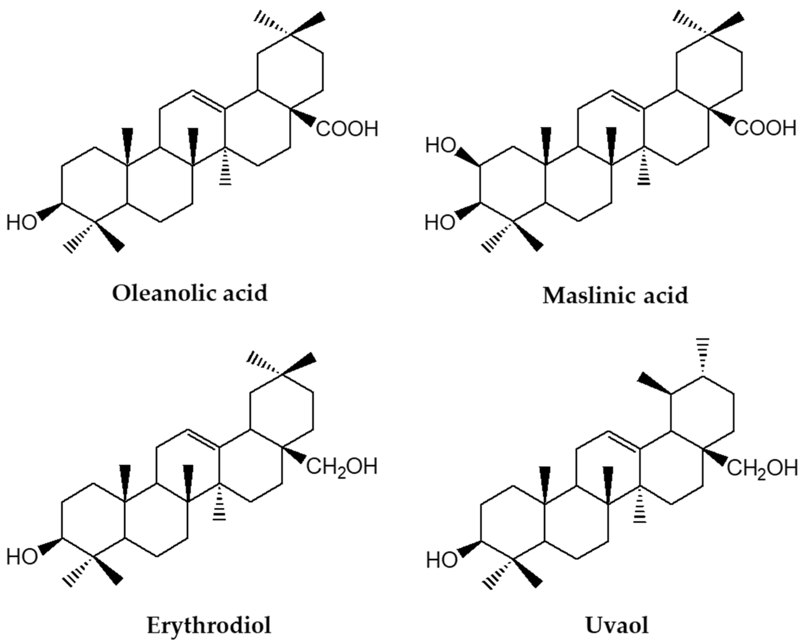 Nutrients 14 01606 g001