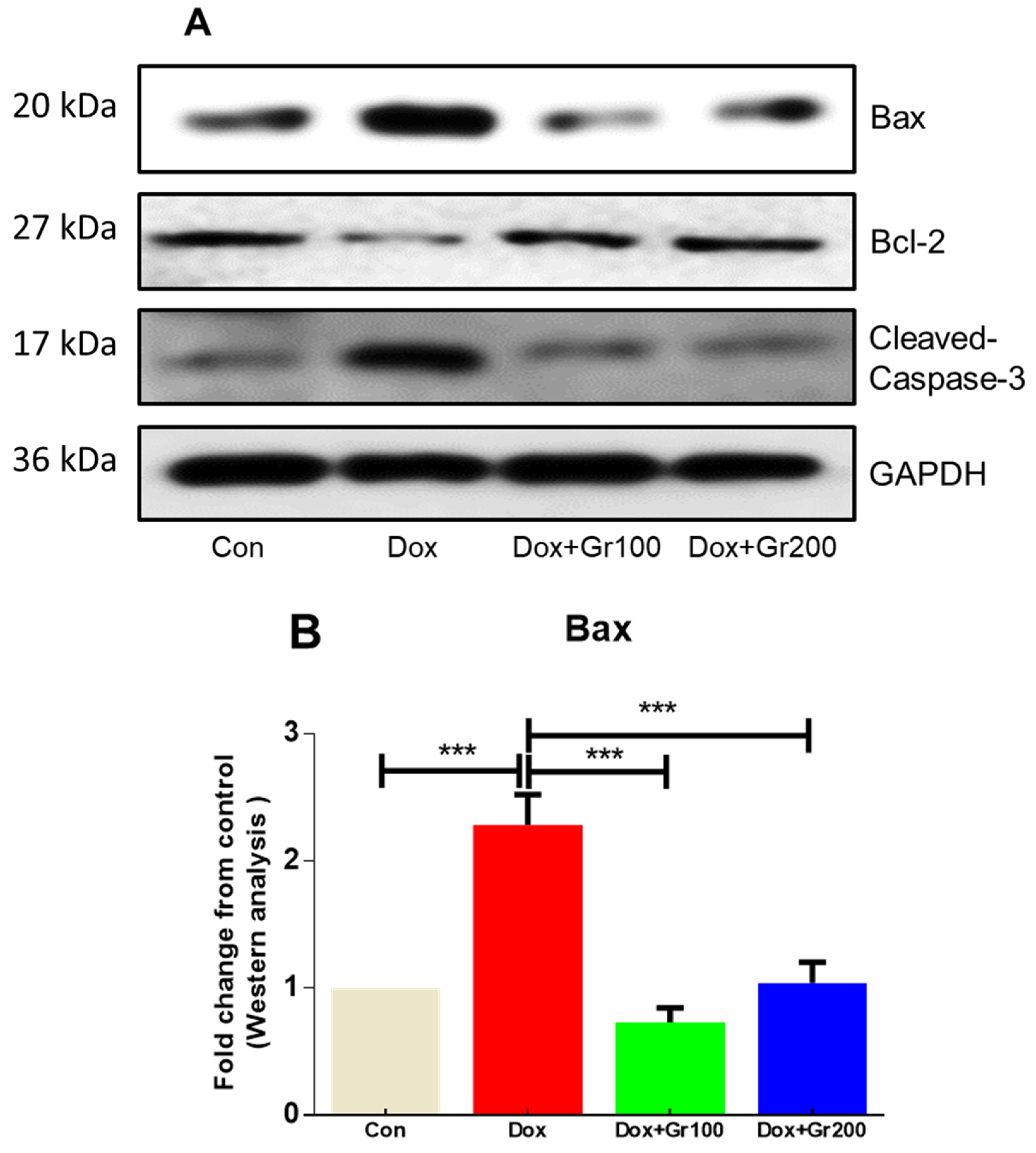 Nutrients 14 01620 g005a