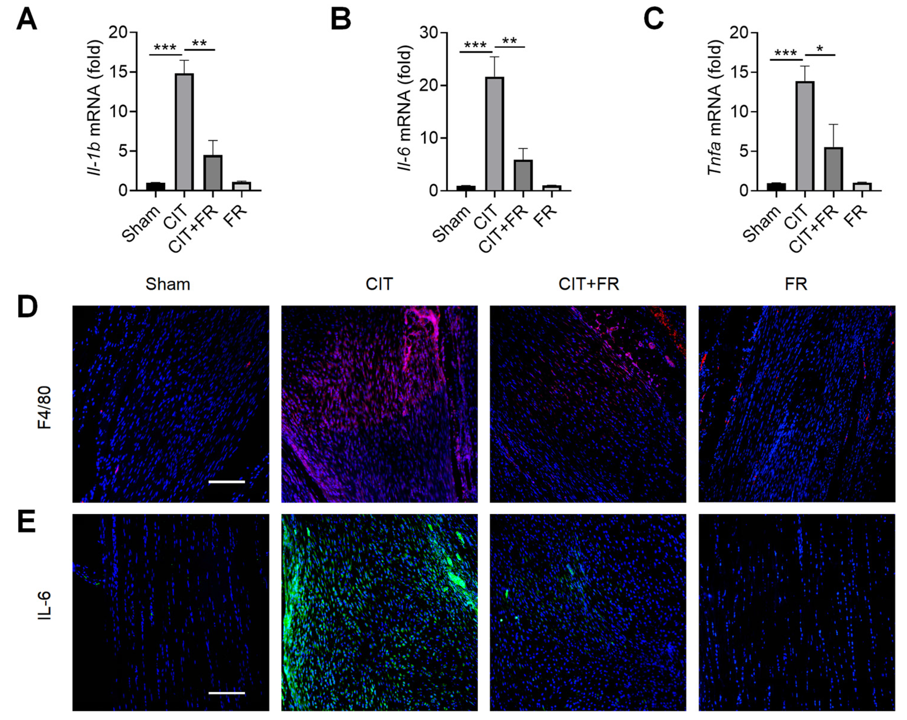 Nutrients 14 01673 g002