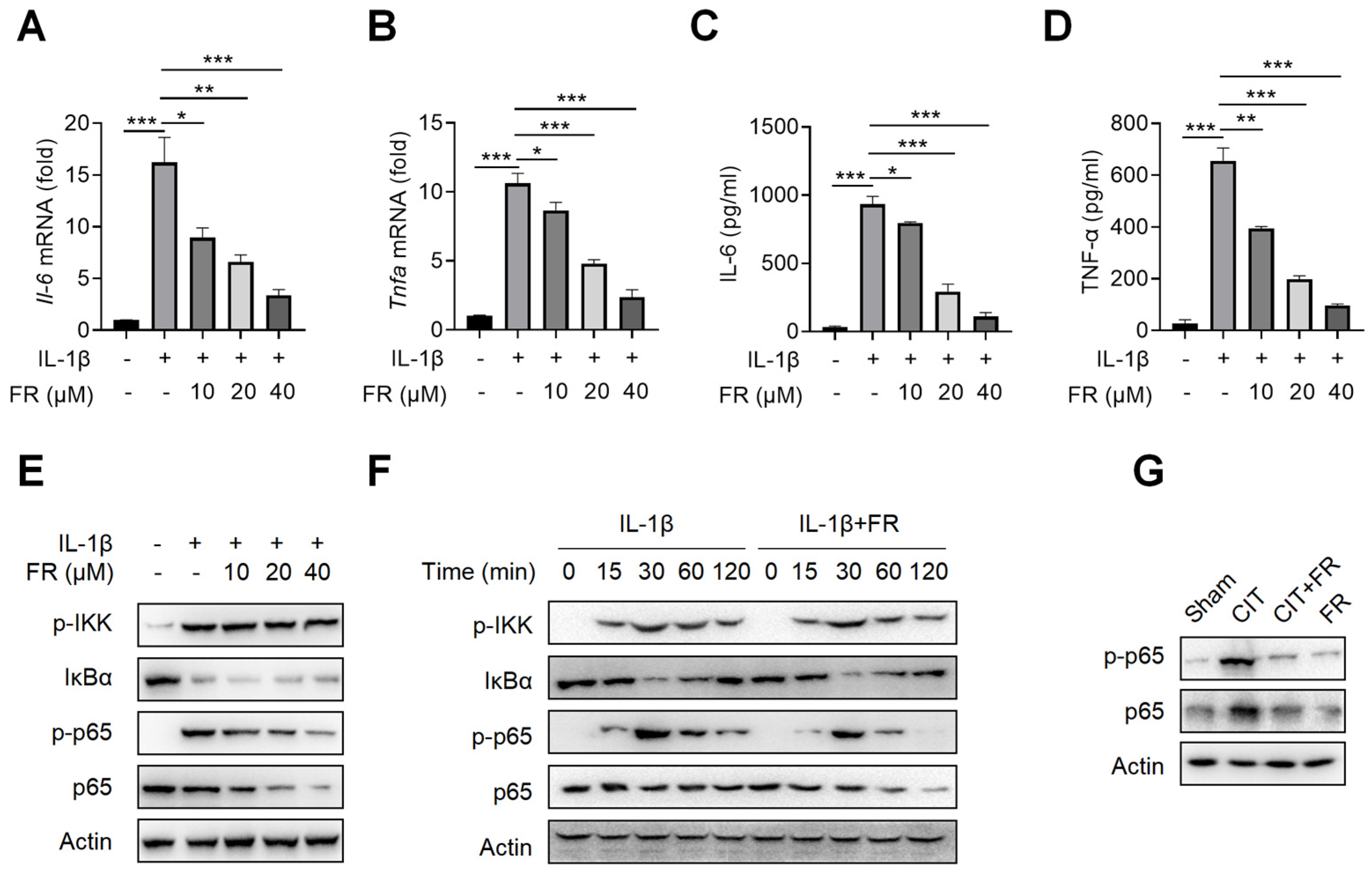 Nutrients 14 01673 g003