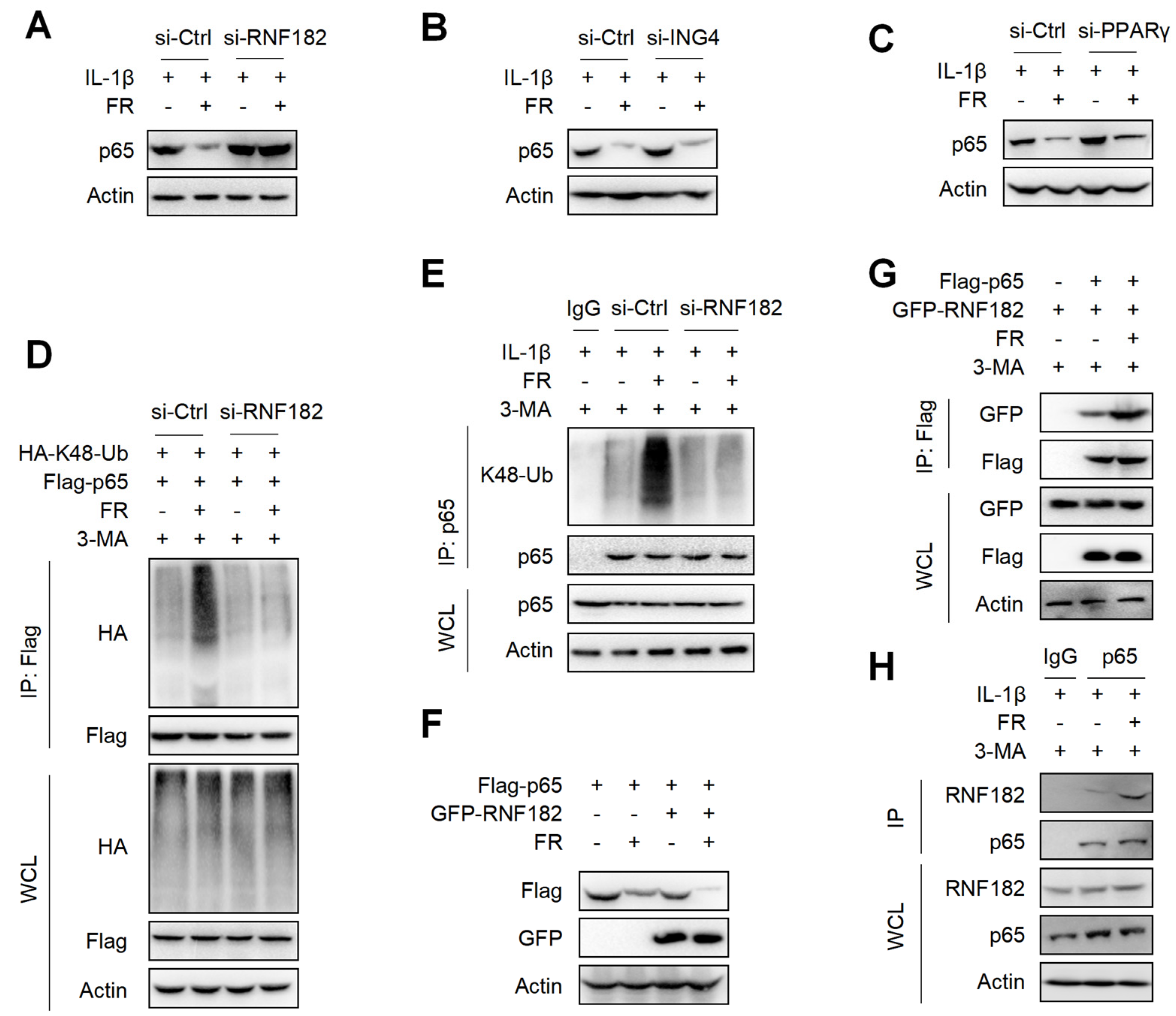 Nutrients 14 01673 g007