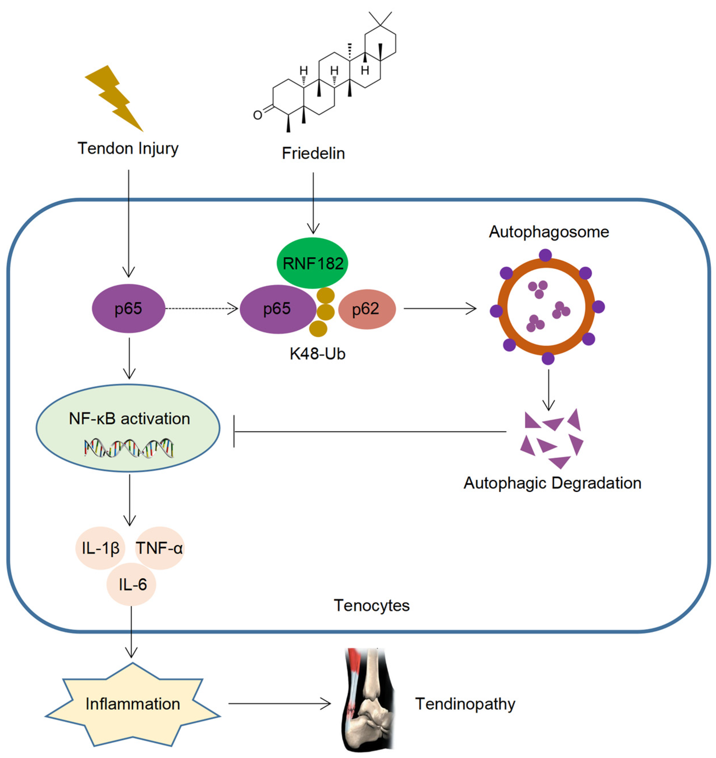 Nutrients 14 01673 g008