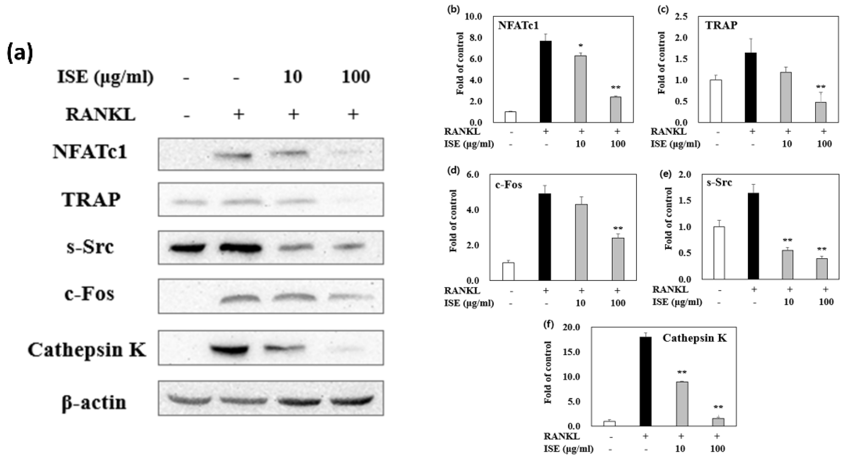 Nutrients 14 01683 g005