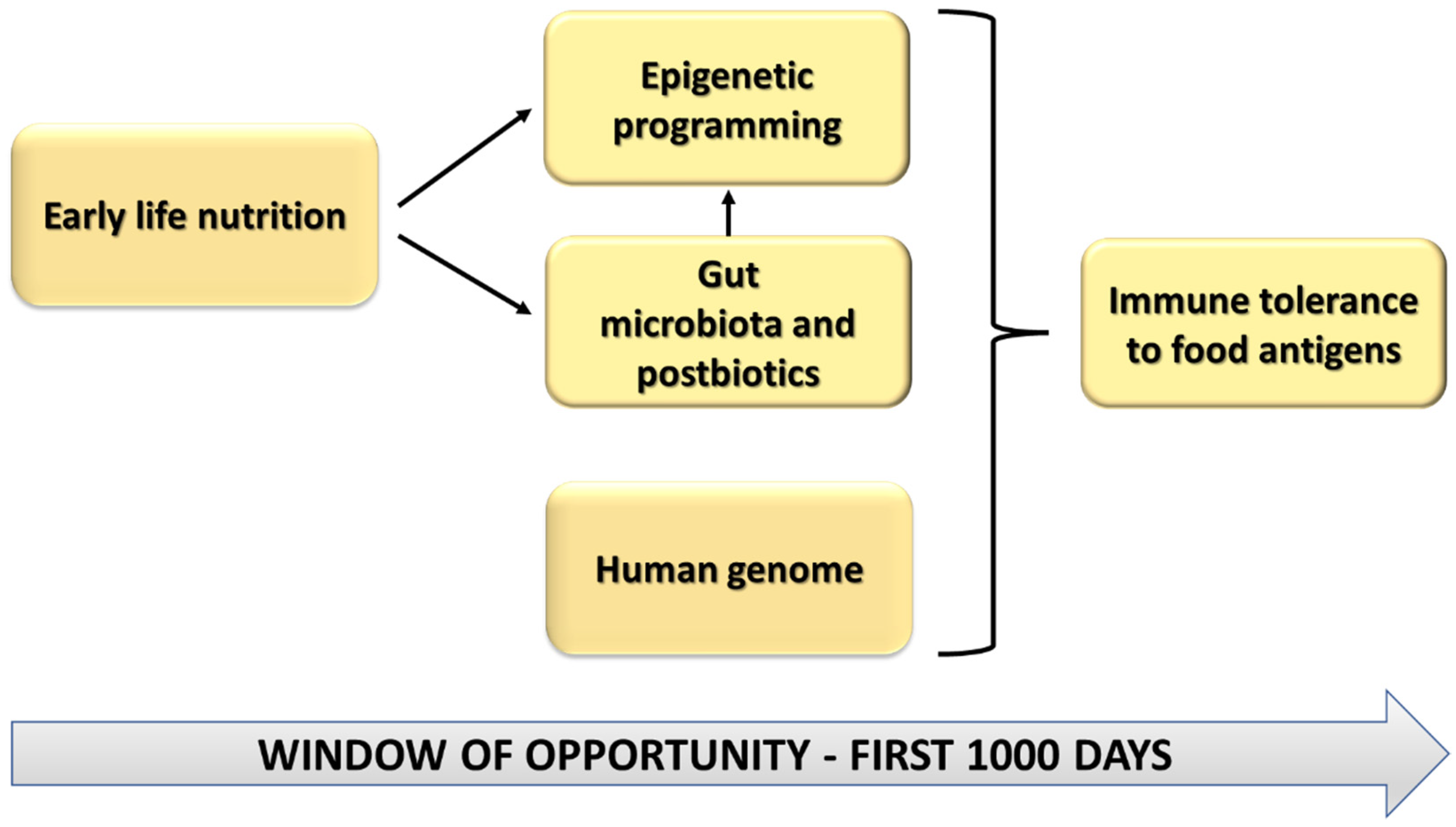 Nutrients 14 01766 g001