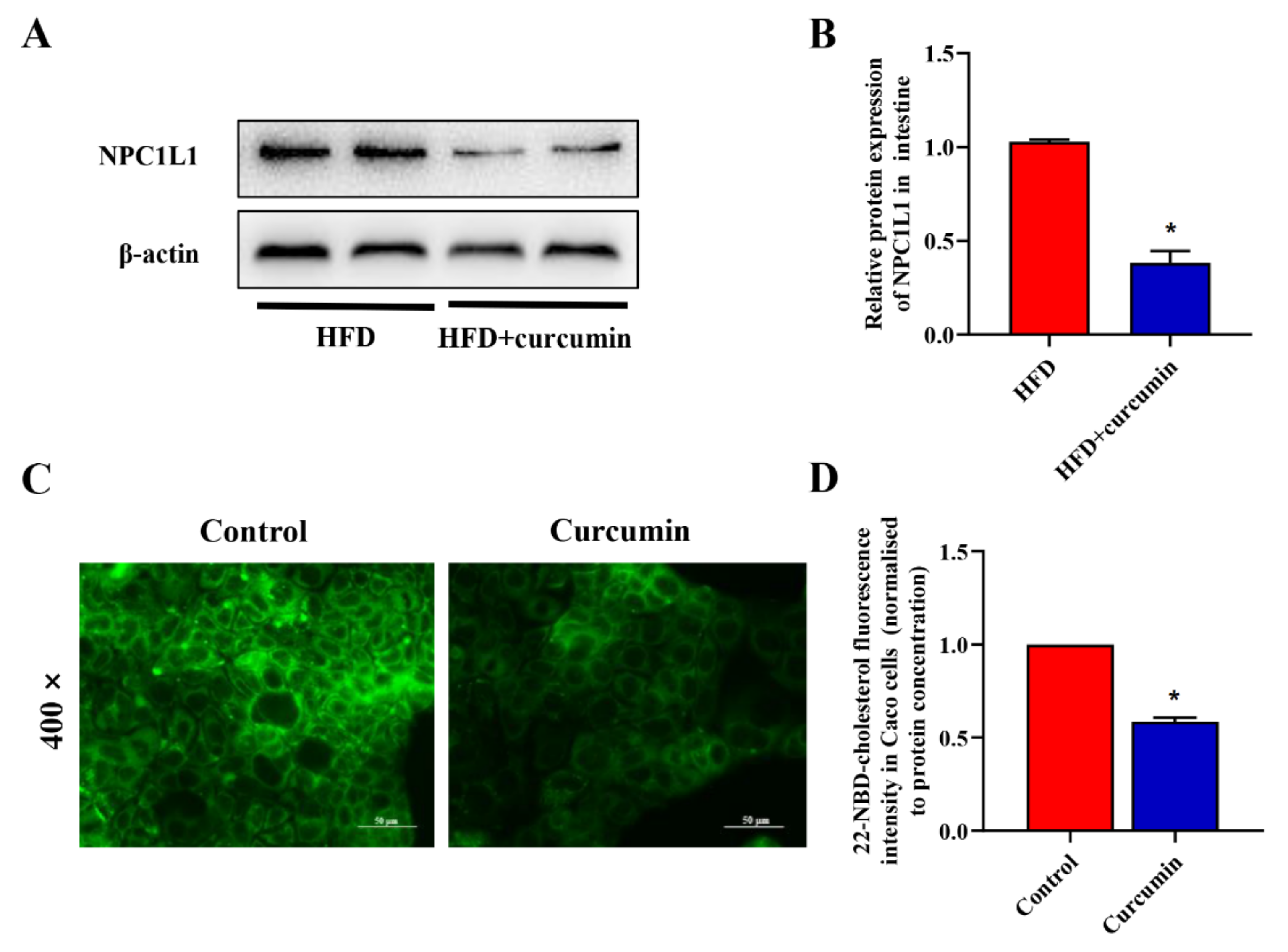 Nutrients 14 01828 g008
