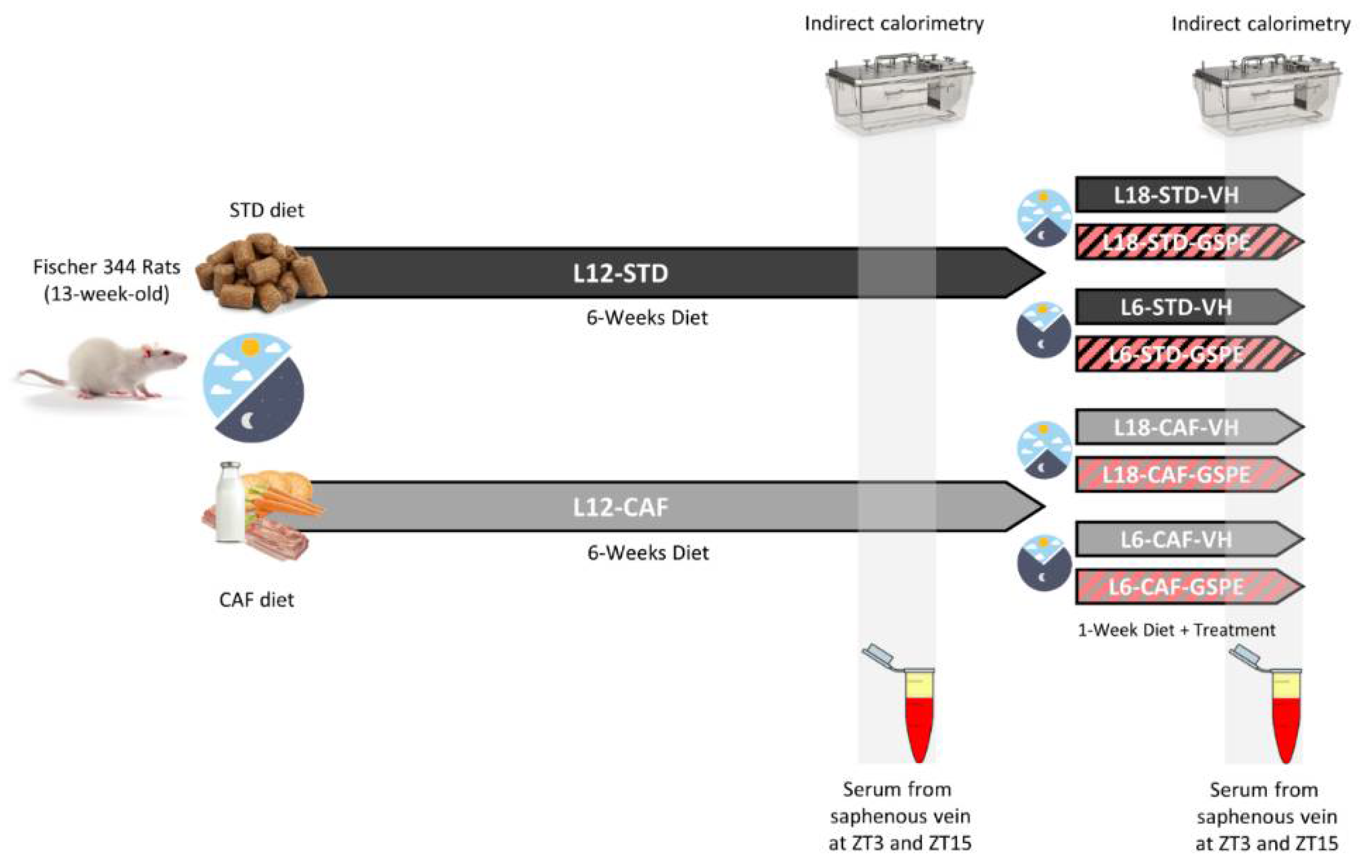 Nutrients 14 01834 g001
