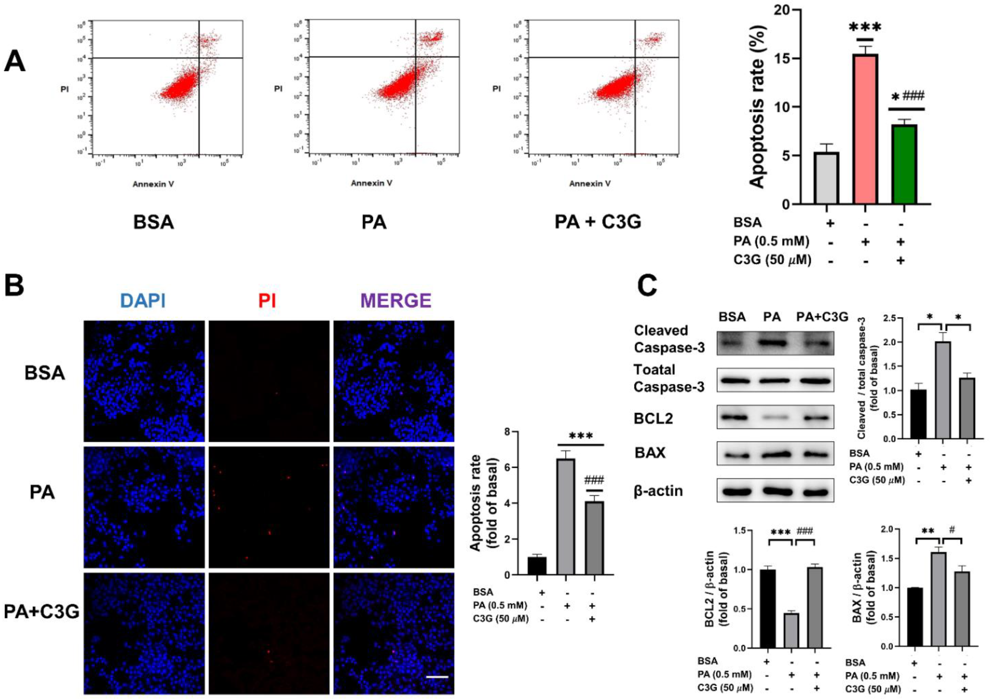 Nutrients 14 01835 g002