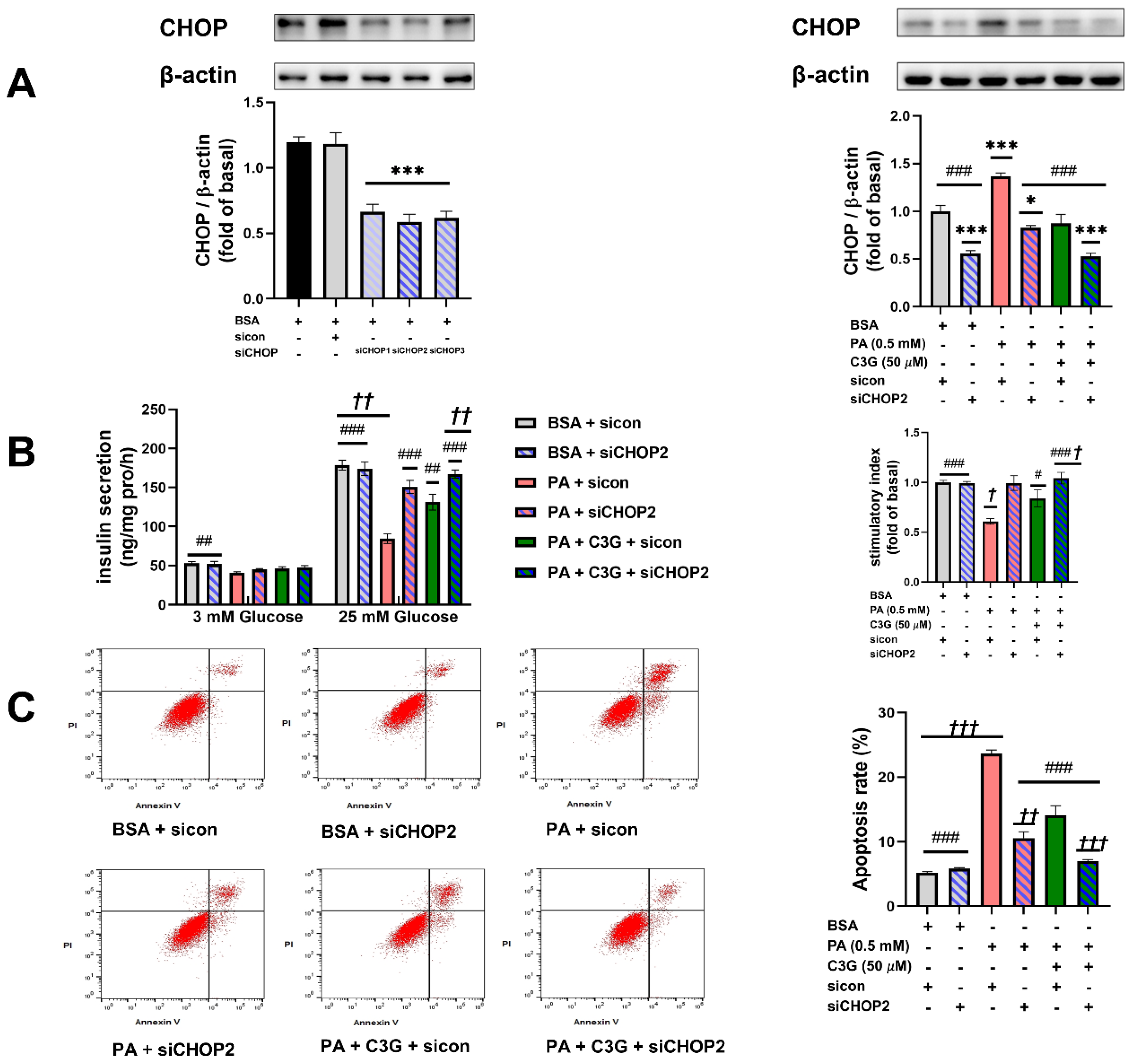 Nutrients 14 01835 g006