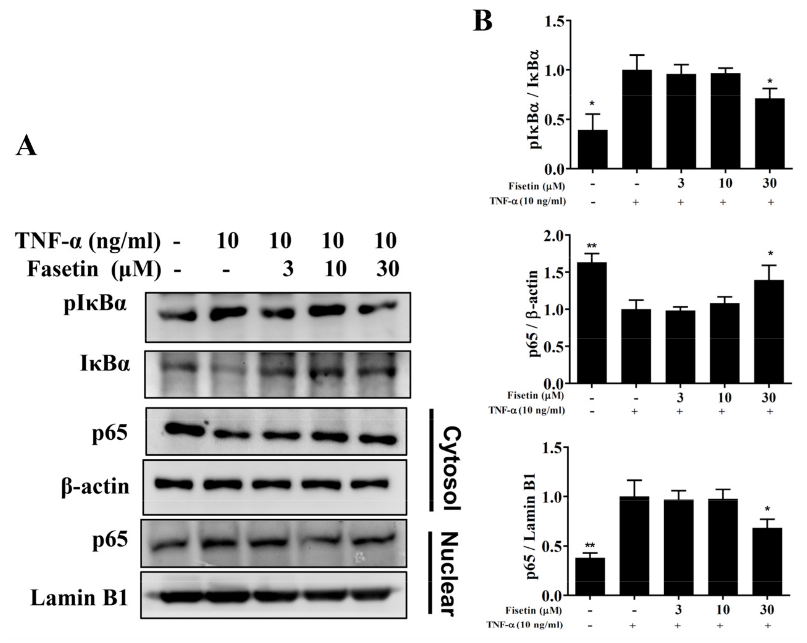 Nutrients 14 01841 g004
