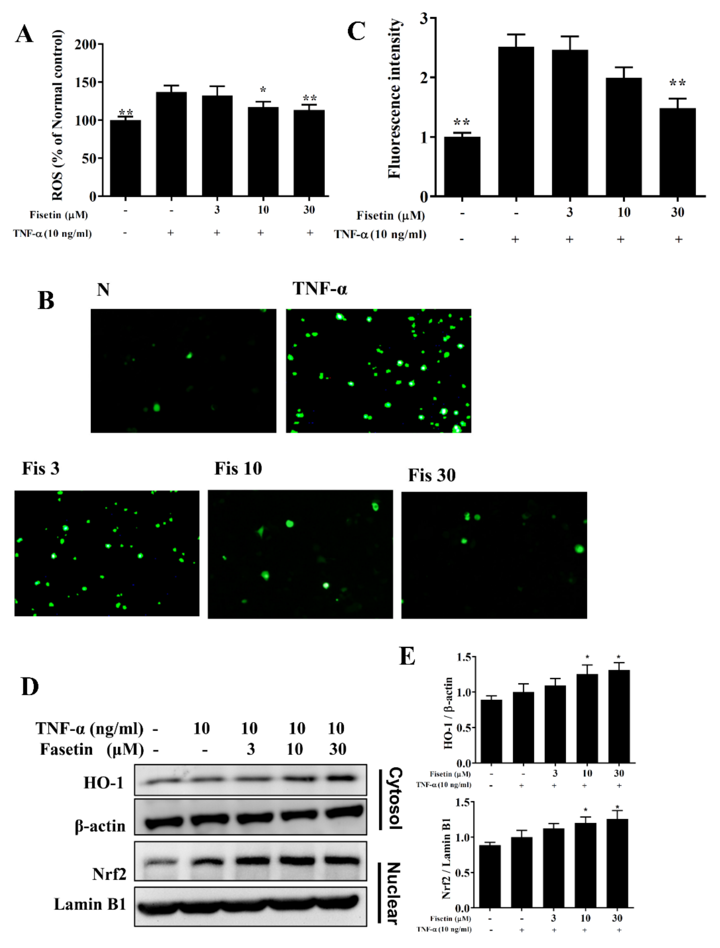 Nutrients 14 01841 g007