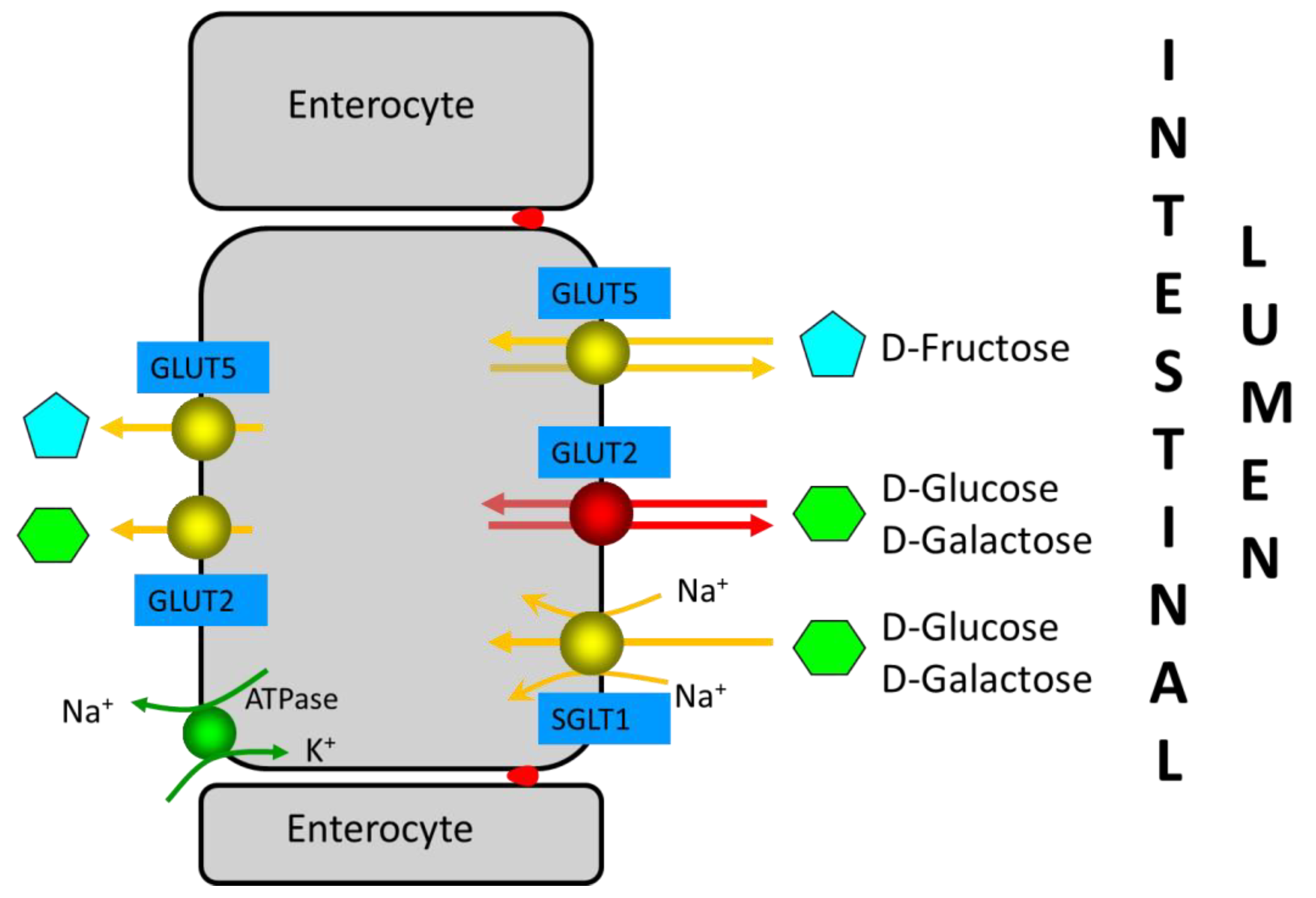 Nutrients 14 01923 g002