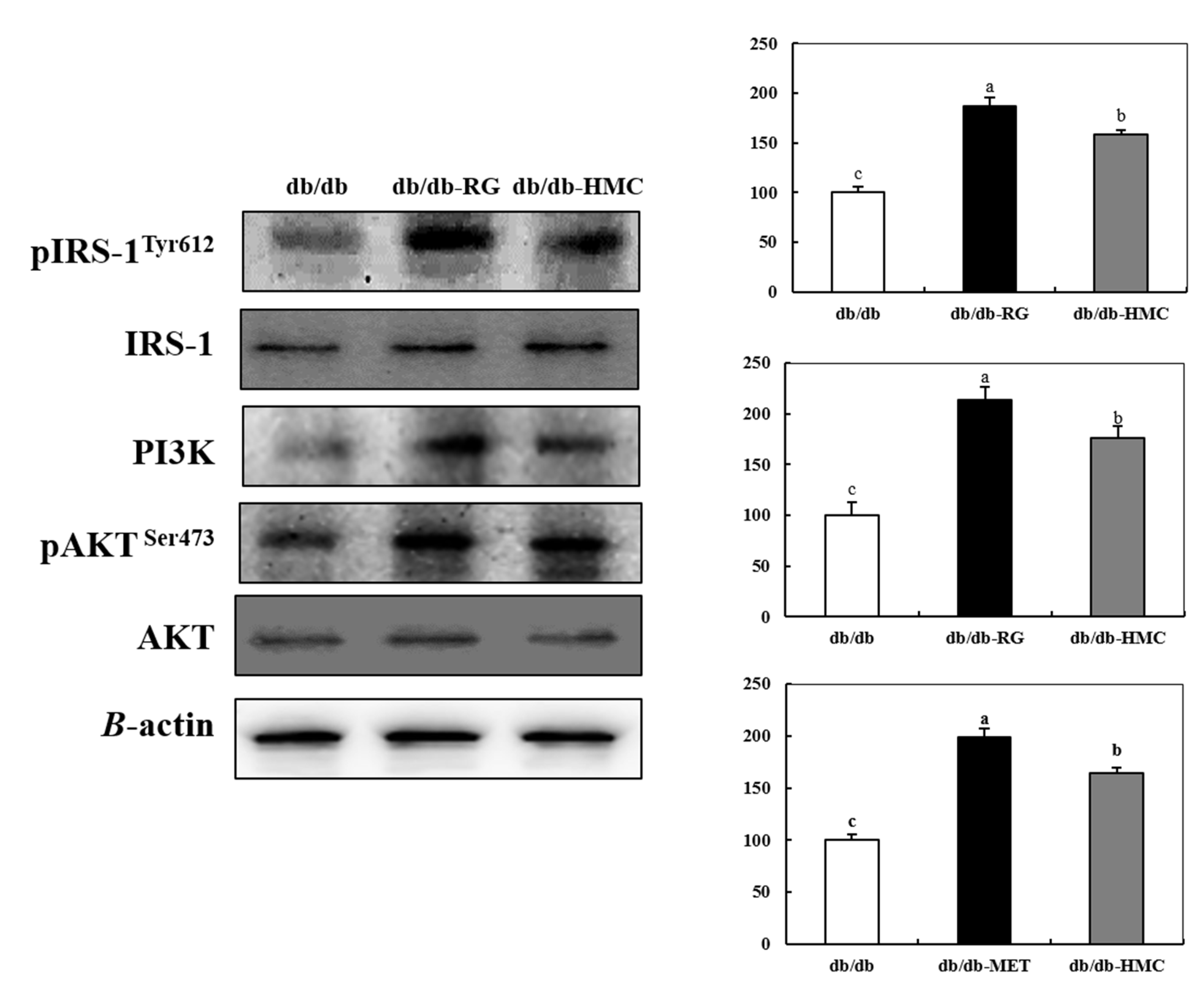 Nutrients 14 01951 g005