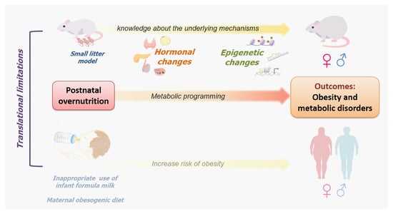 Nutrients Free Full-Text Litter Size Reduction as a Model of Overfeeding during Lactation and Its Consequences for the Development of Metabolic Diseases in the Offspring