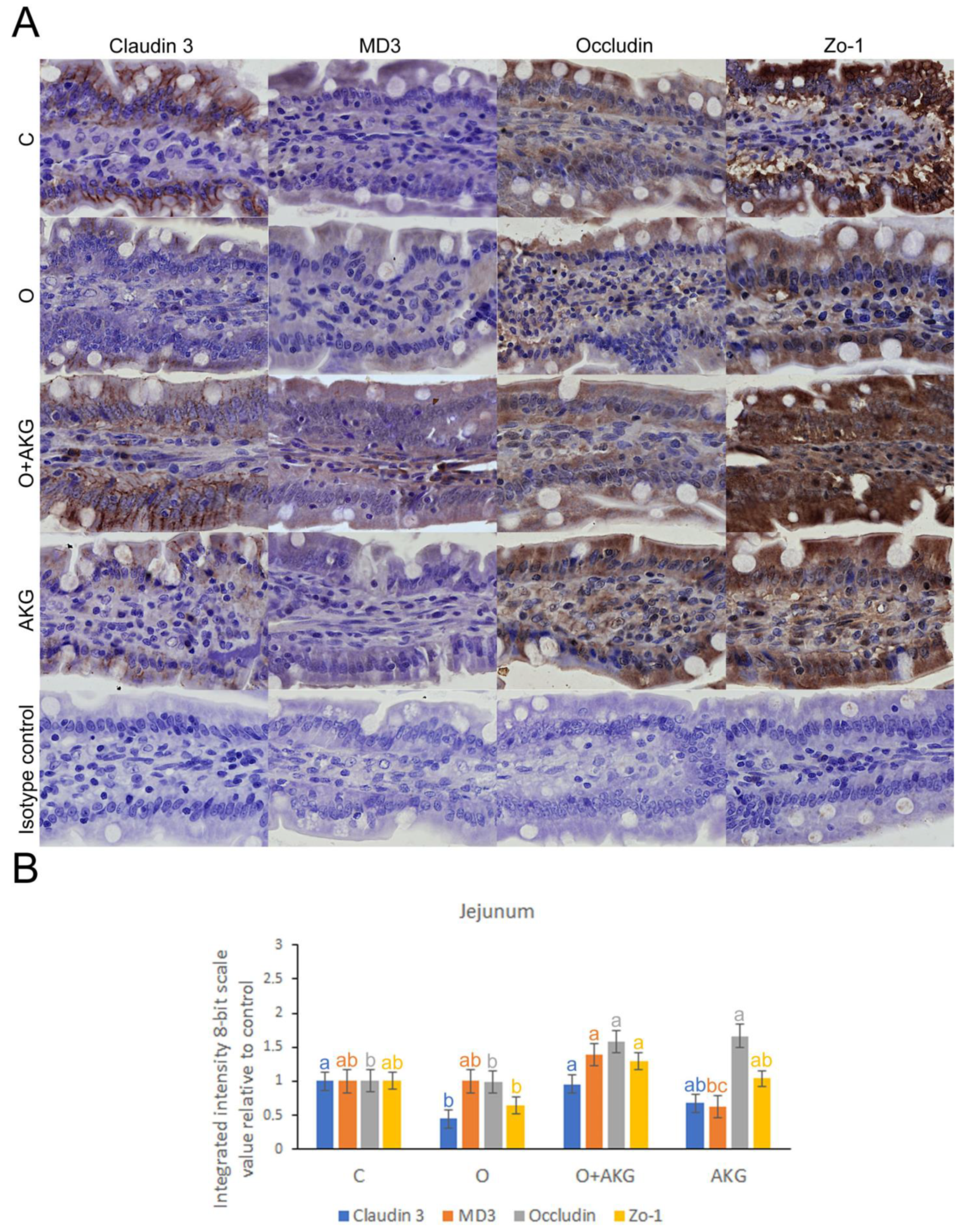 Nutrients 14 02062 g004