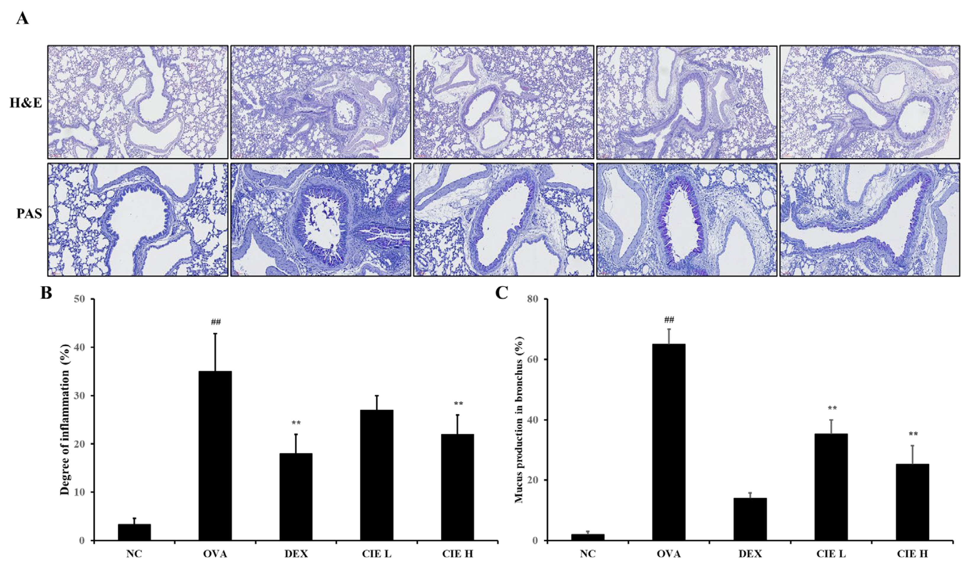 Nutrients 14 02067 g006