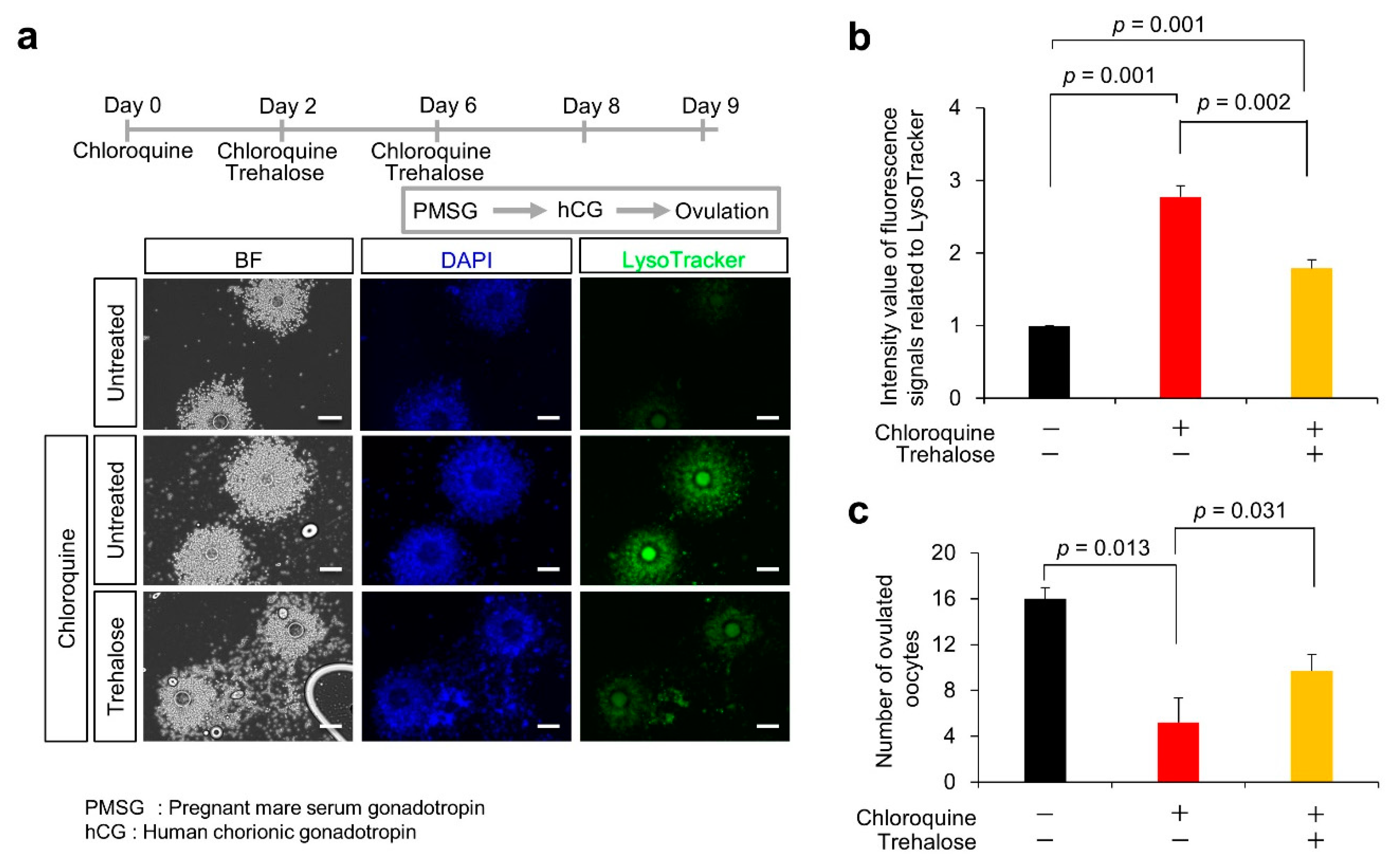 Nutrients 14 02156 g005 Nutrients 14 02156 g005