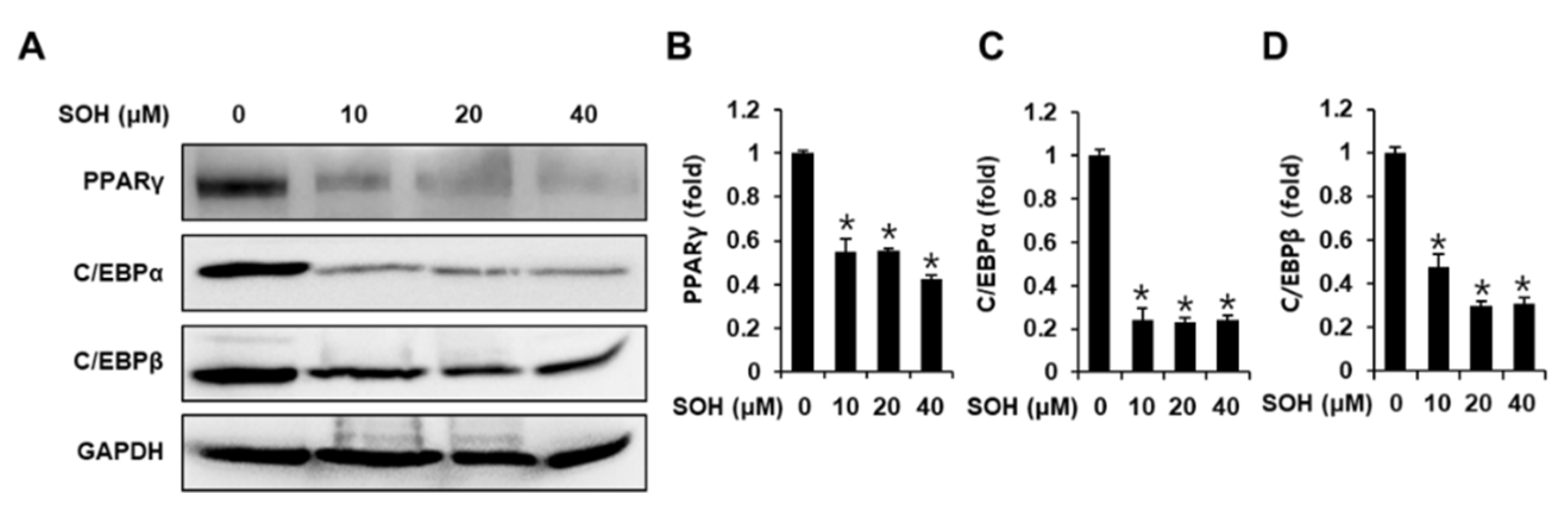 Nutrients 14 02164 g003