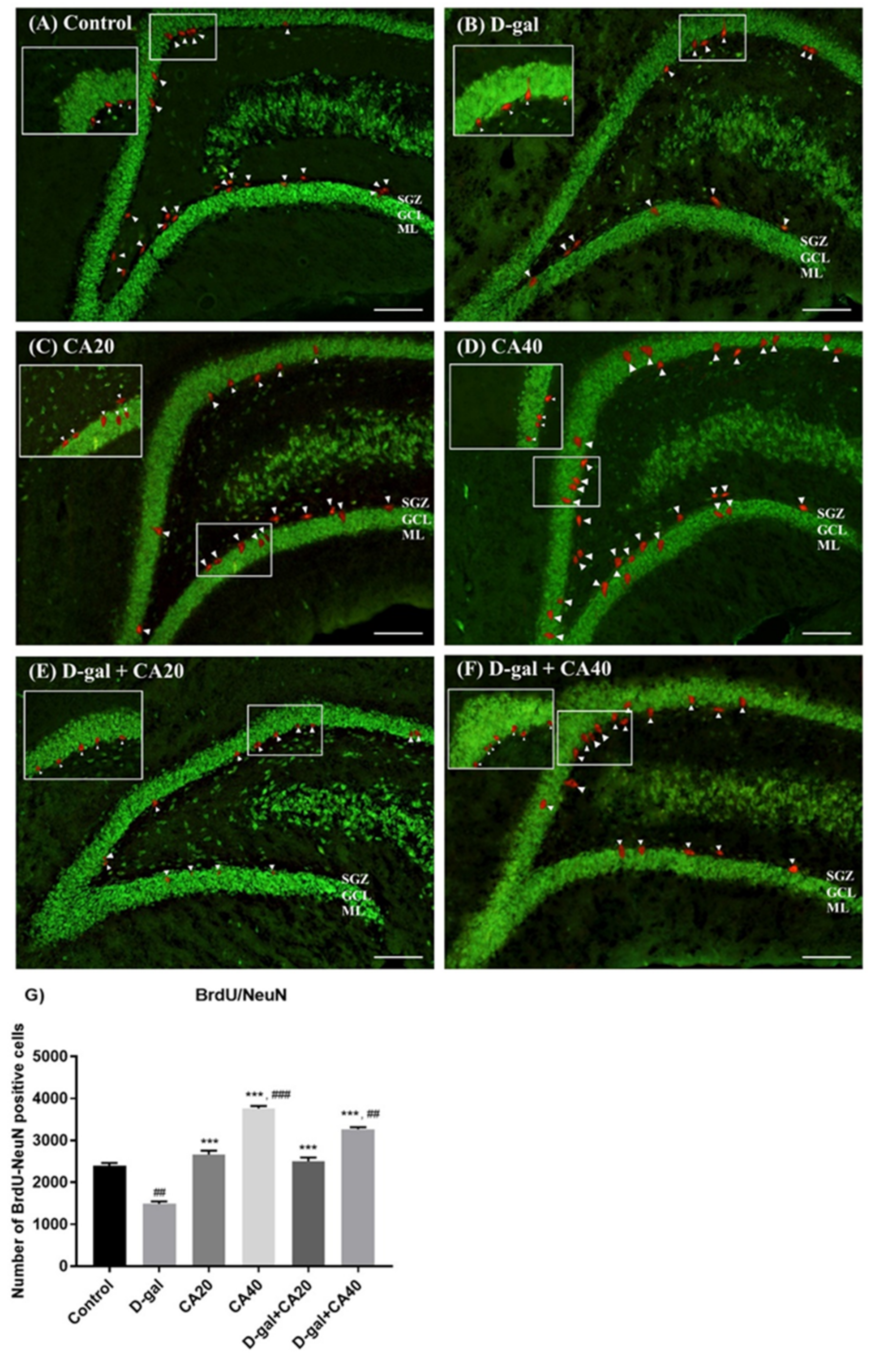 Nutrients 14 02169 g006 Nutrients 14 02169 g006