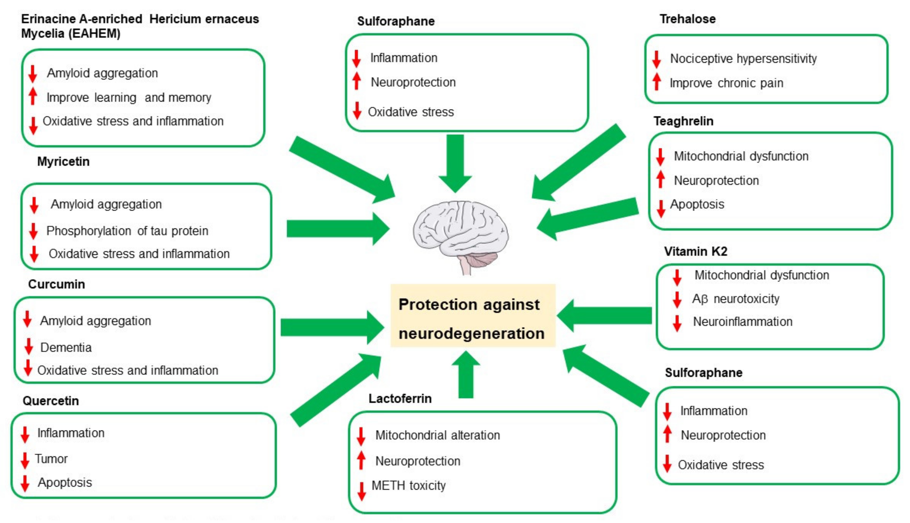 Nutrients 14 02216 g001