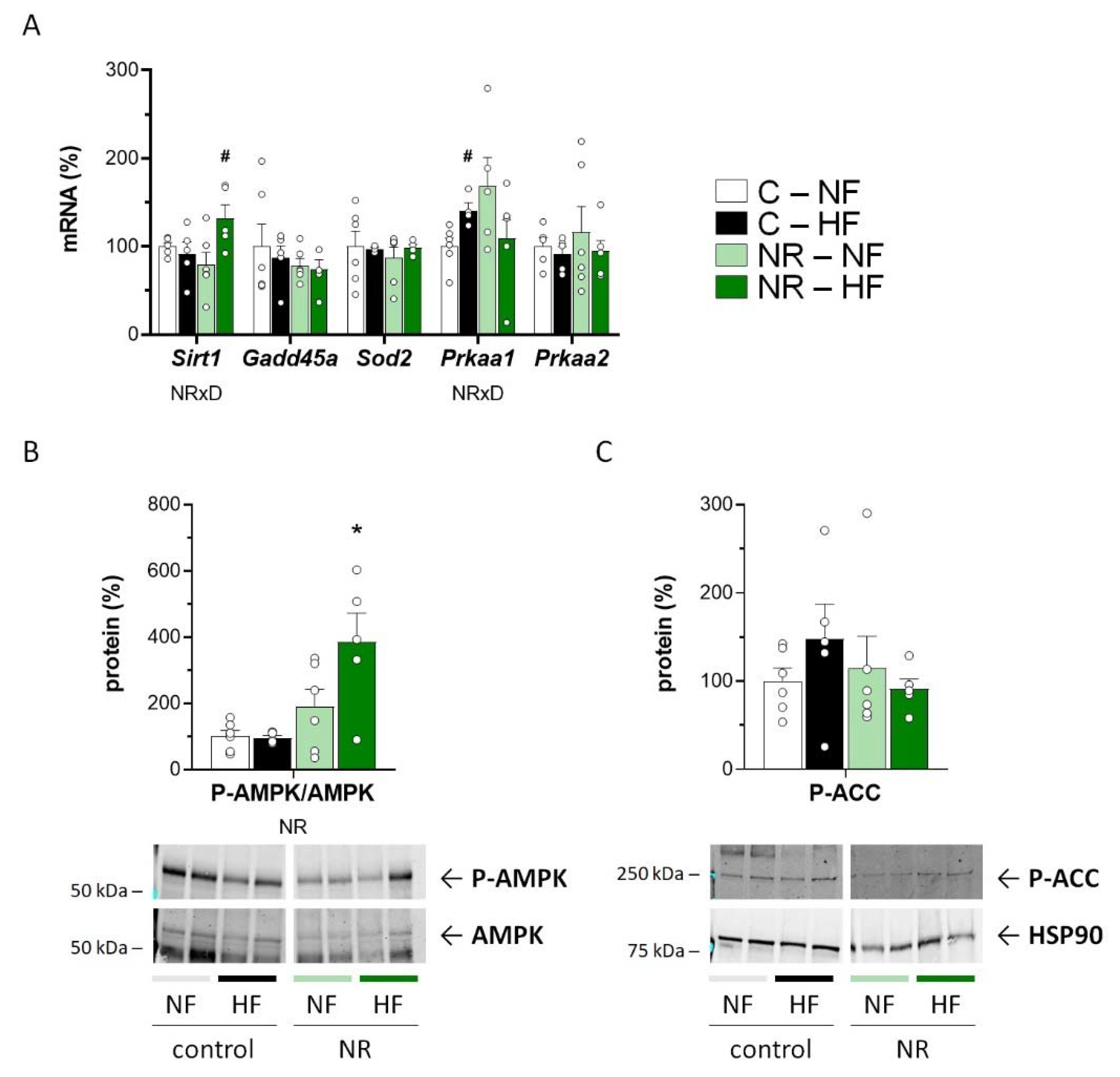 Nutrients 14 02259 g003