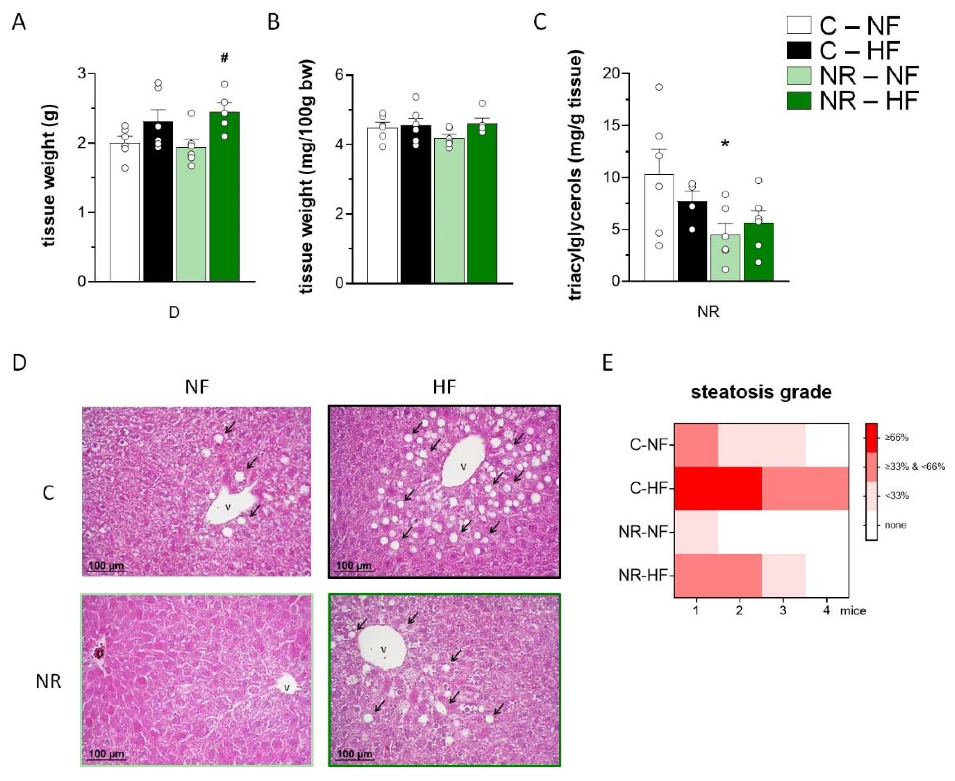 Nutrients 14 02259 g004