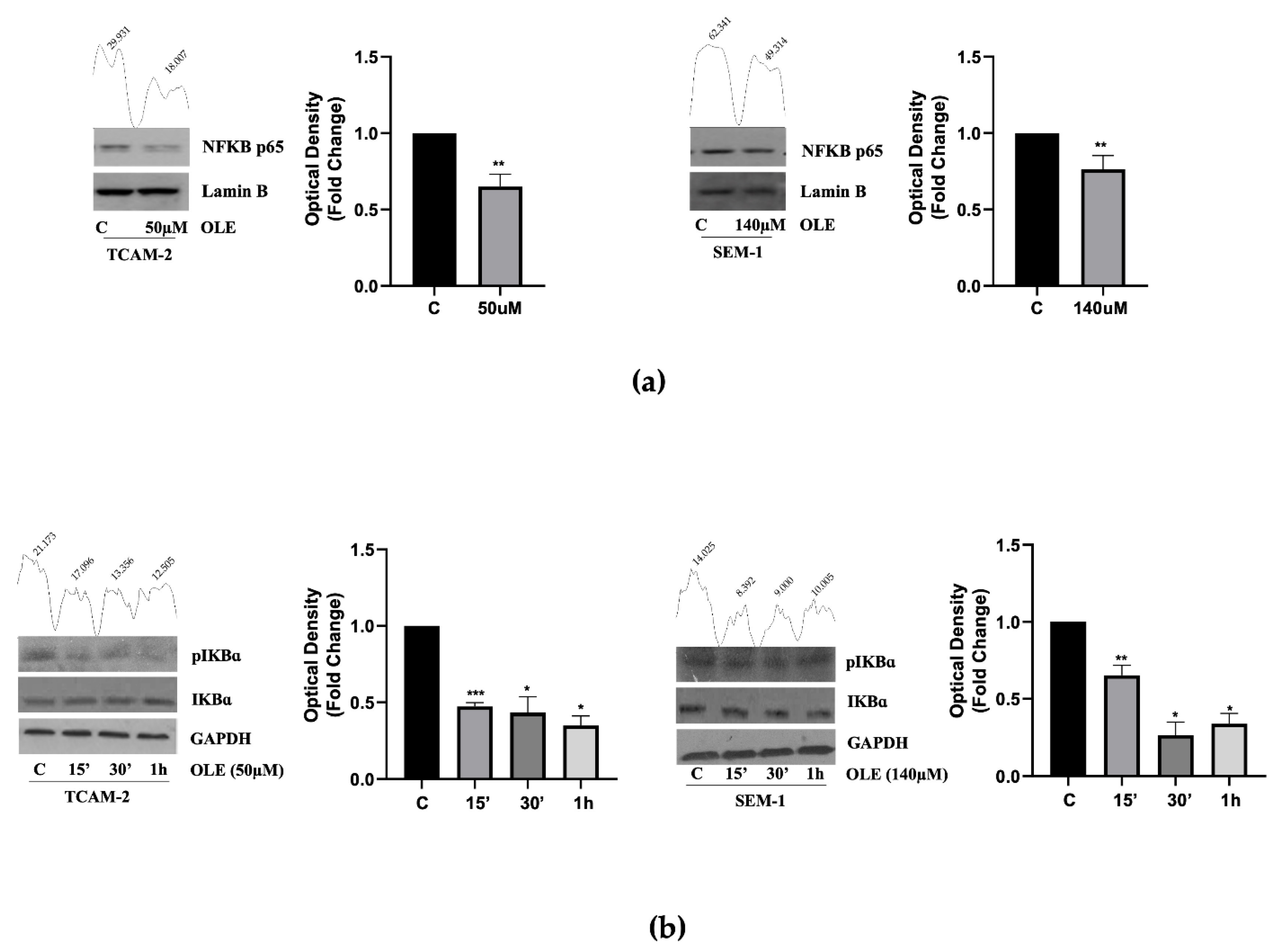 Nutrients 14 02323 g003