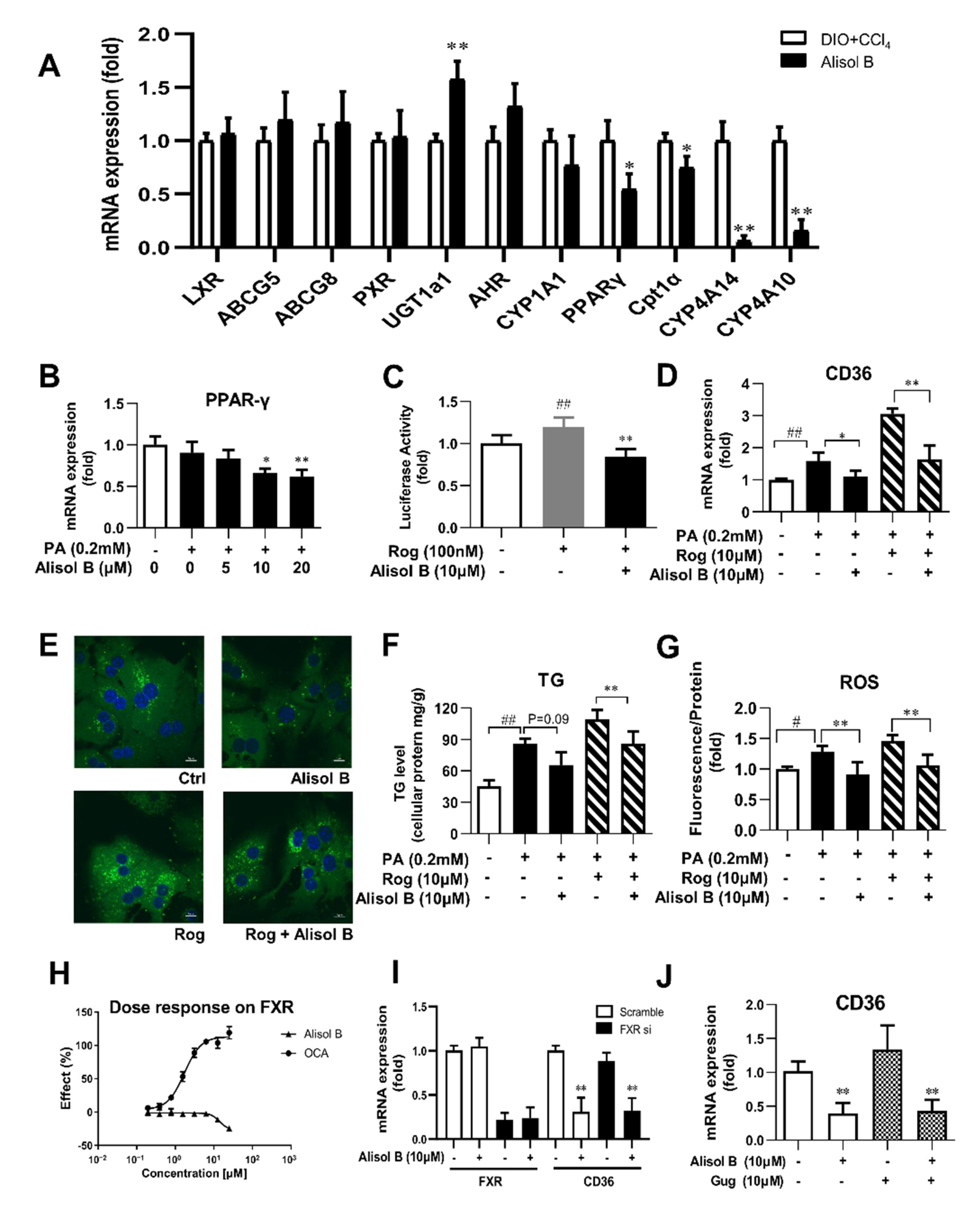 Nutrients 14 02411 g006