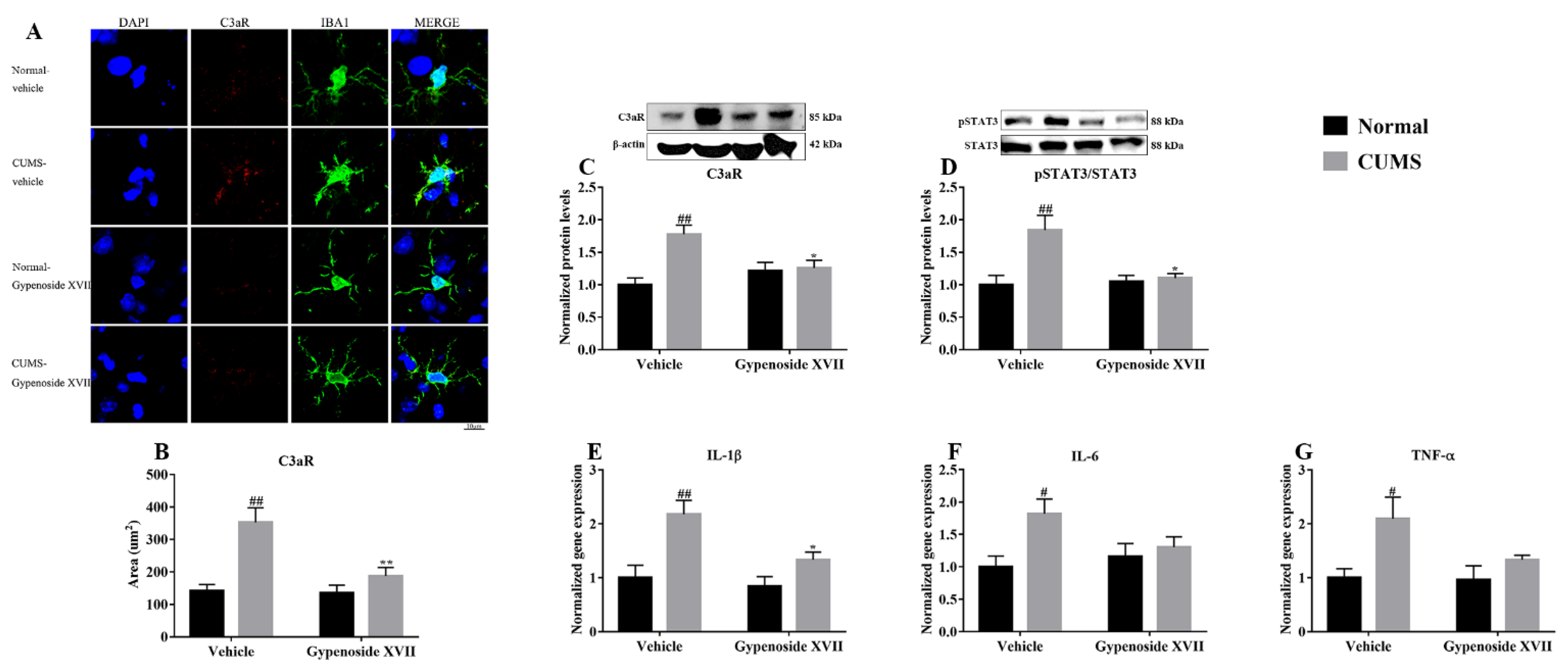 Nutrients 14 02418 g004