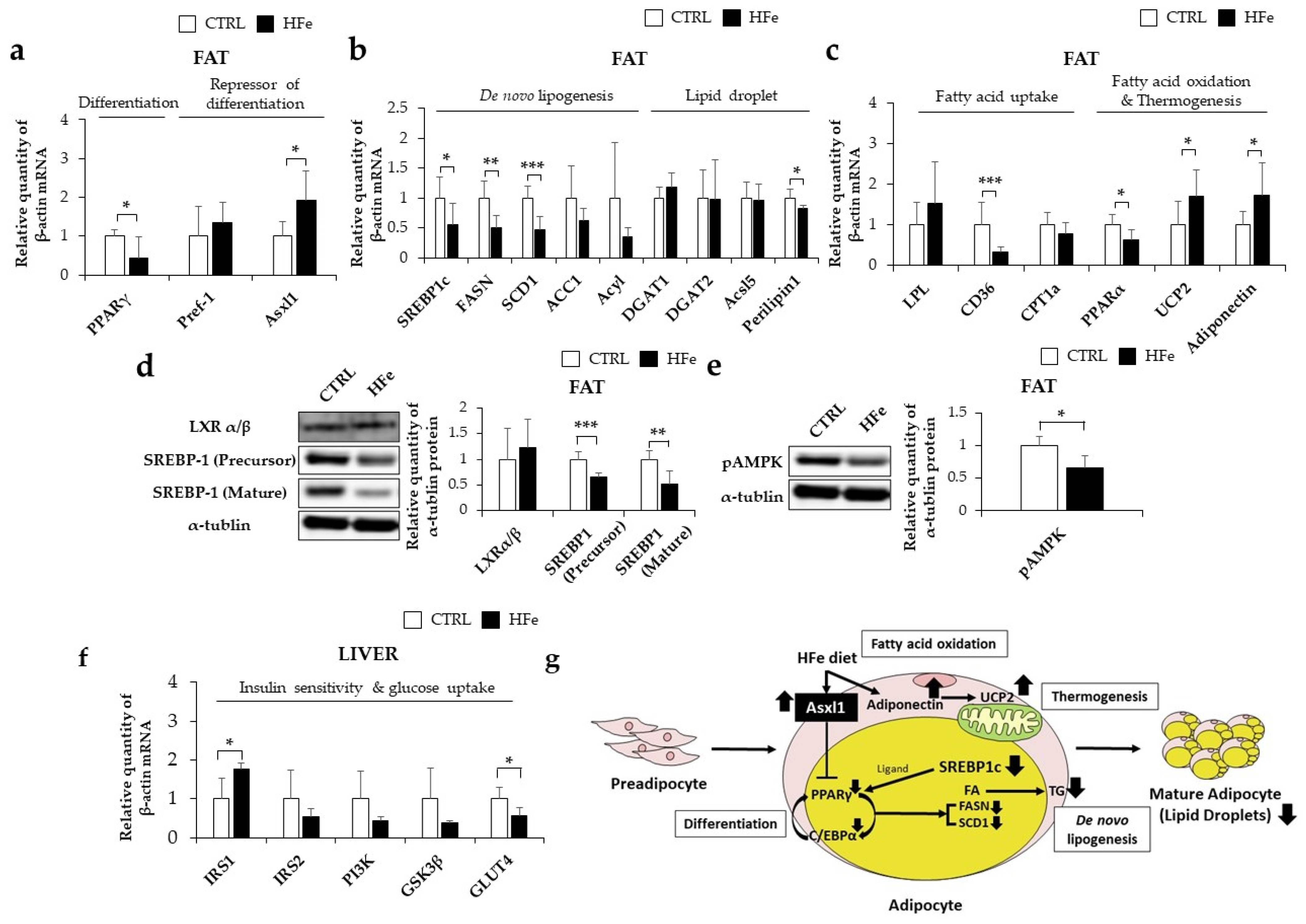 Nutrients 14 02451 g005