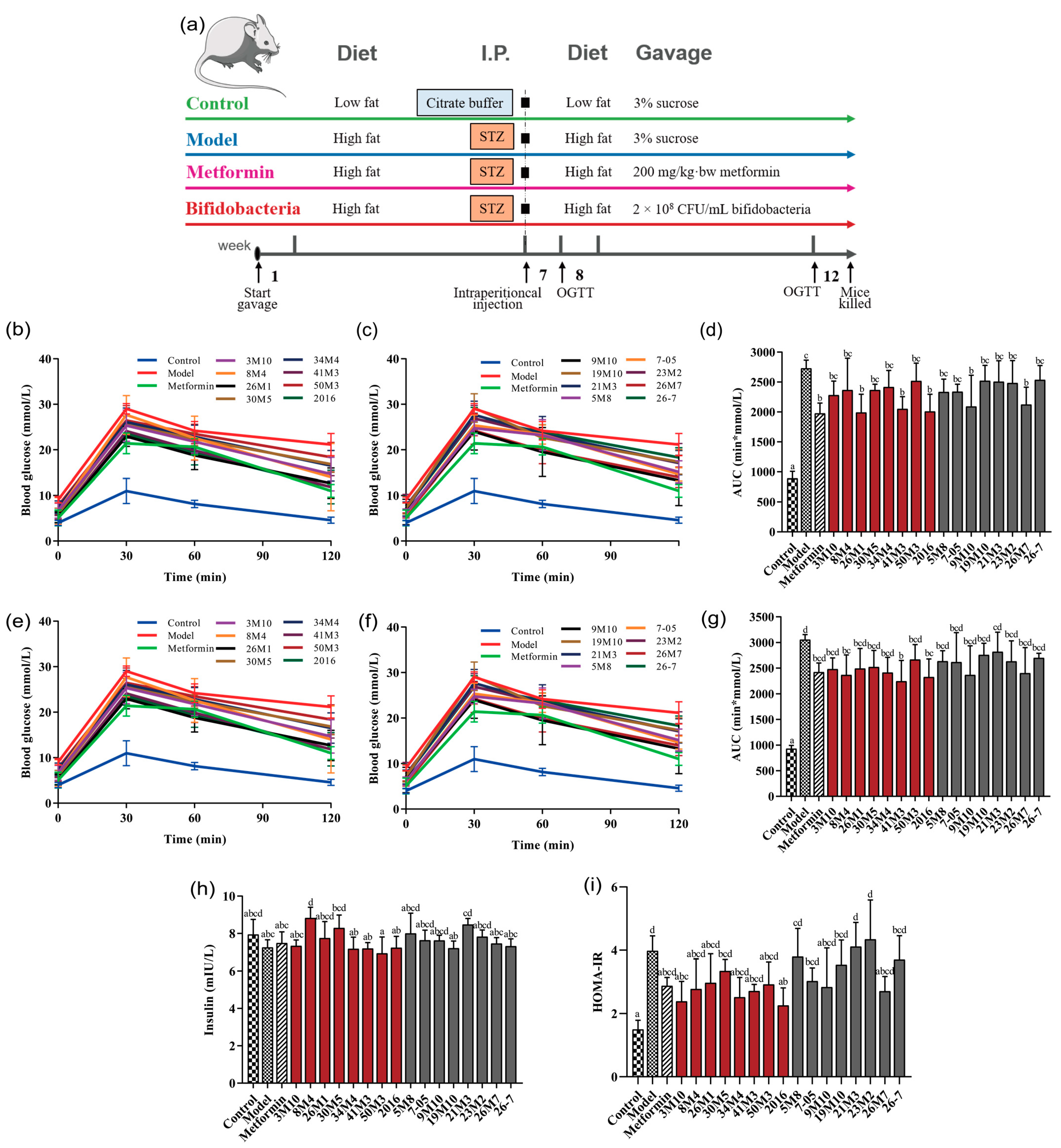 Nutrients 14 02479 g001
