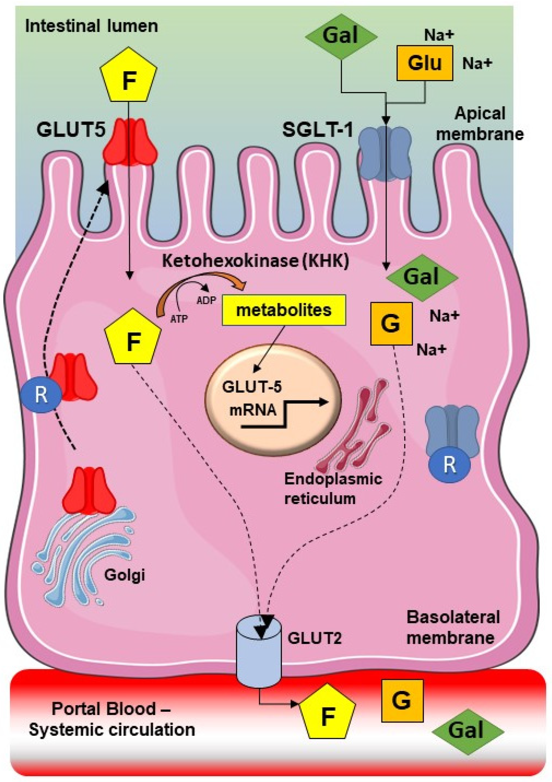Nutrients 14 02488 g001