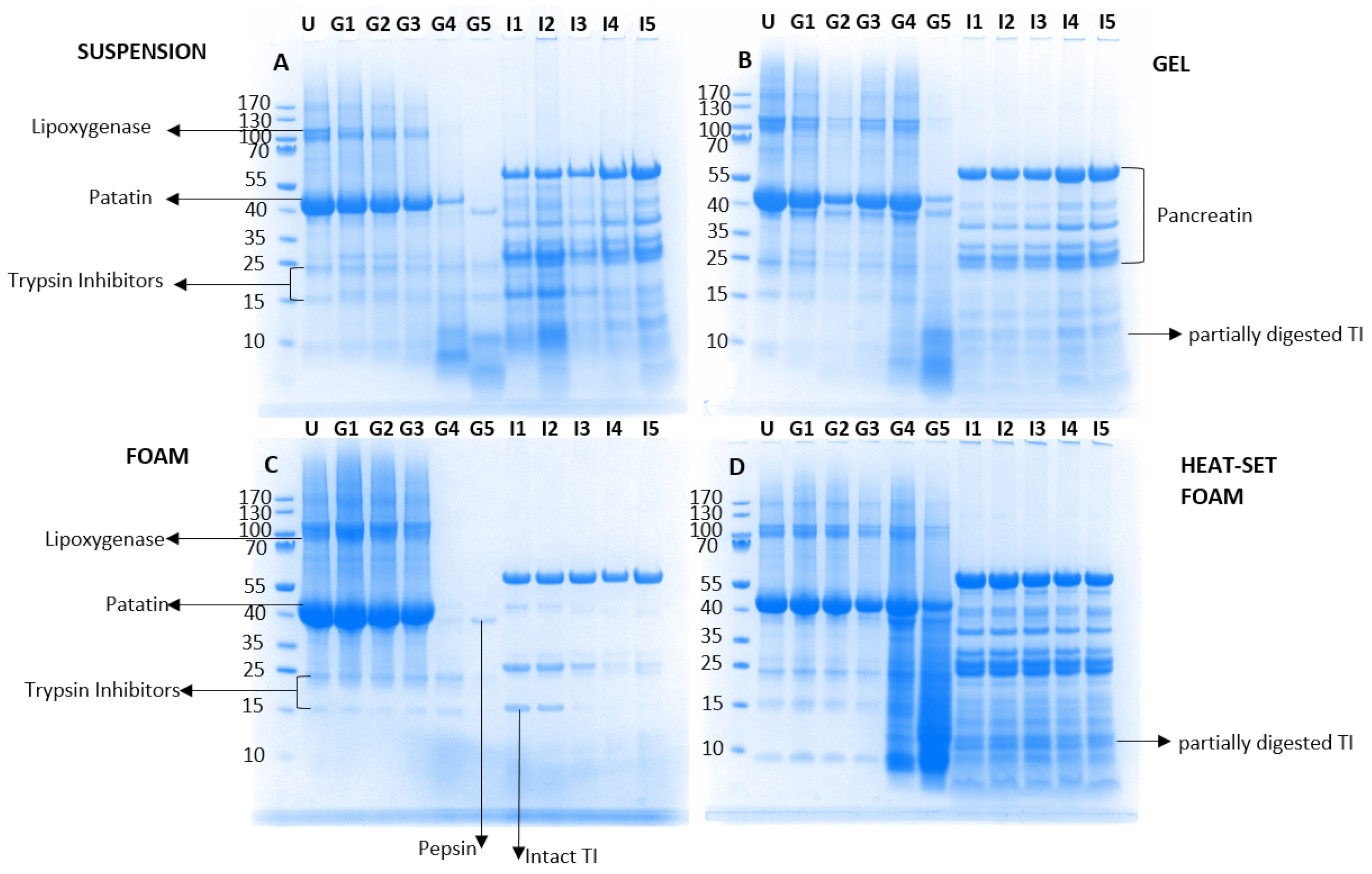 Nutrients 14 02505 g003