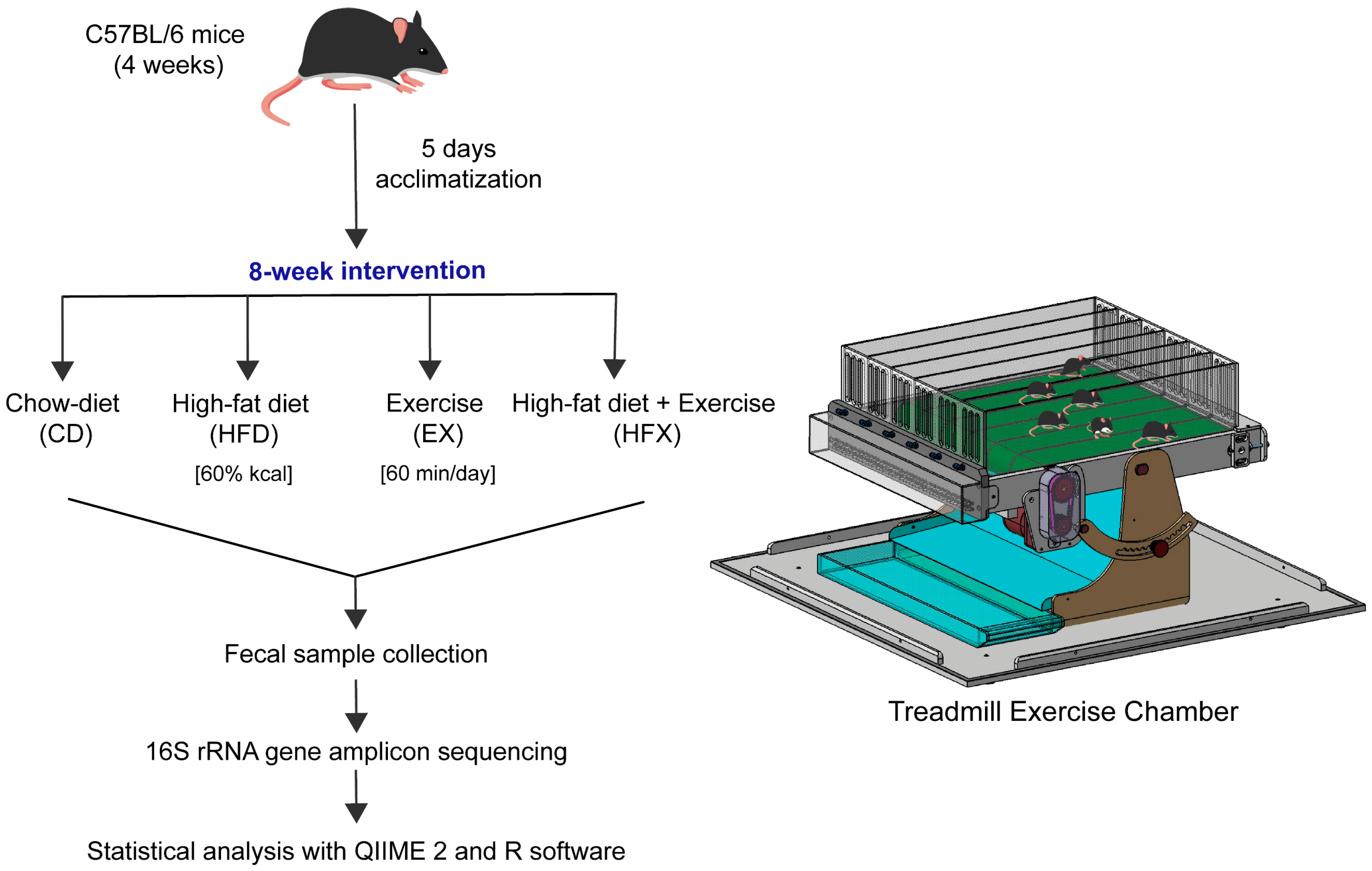 Nutrients 14 02507 g001