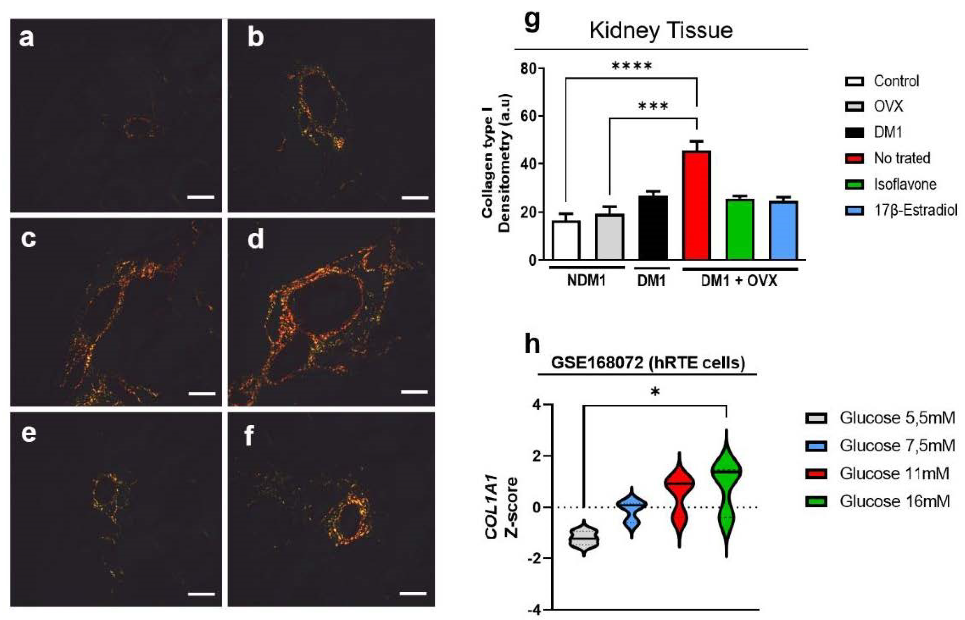 Nutrients 14 02567 g005 Nutrients 14 02567 g005