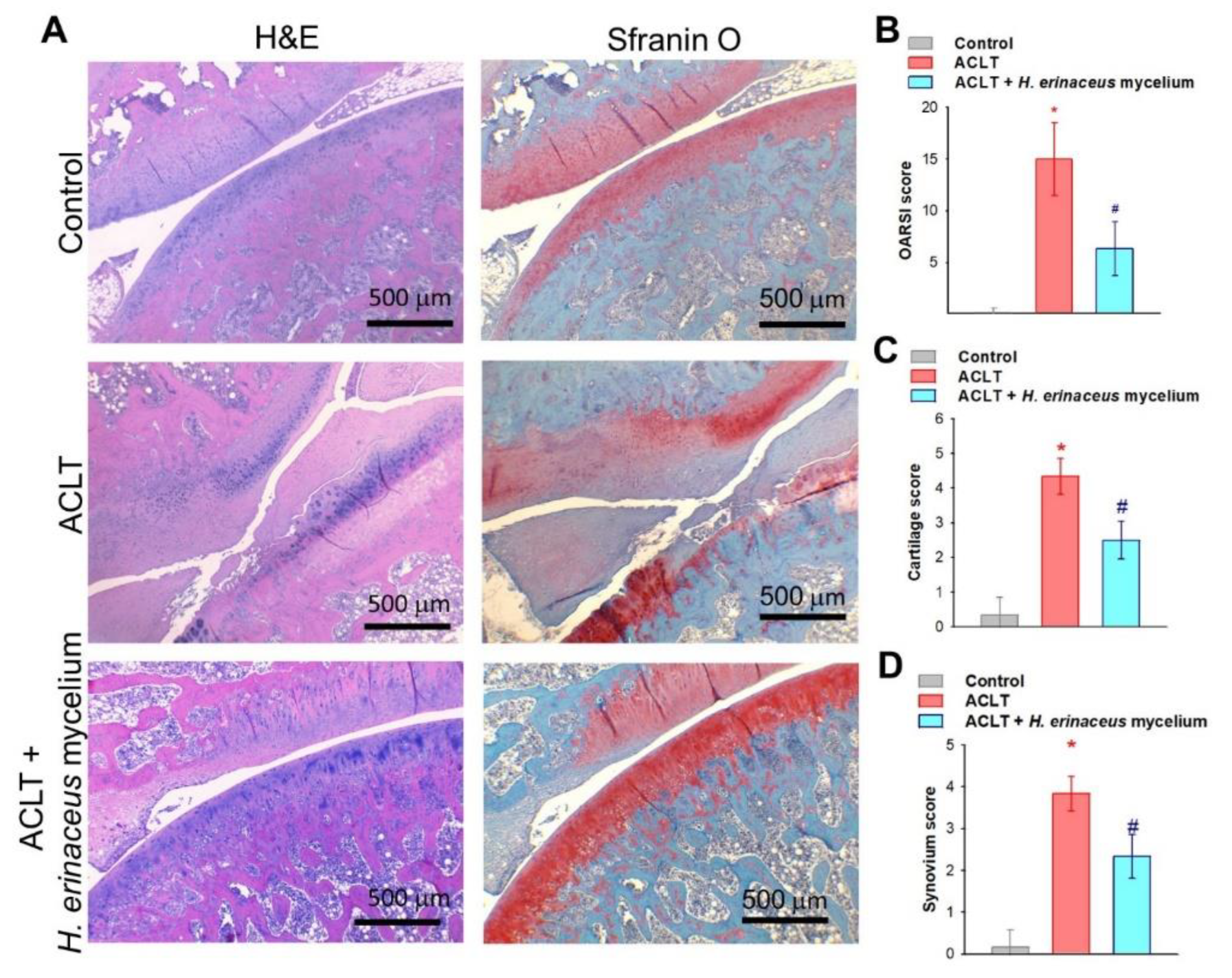Nutrients 14 02605 g004