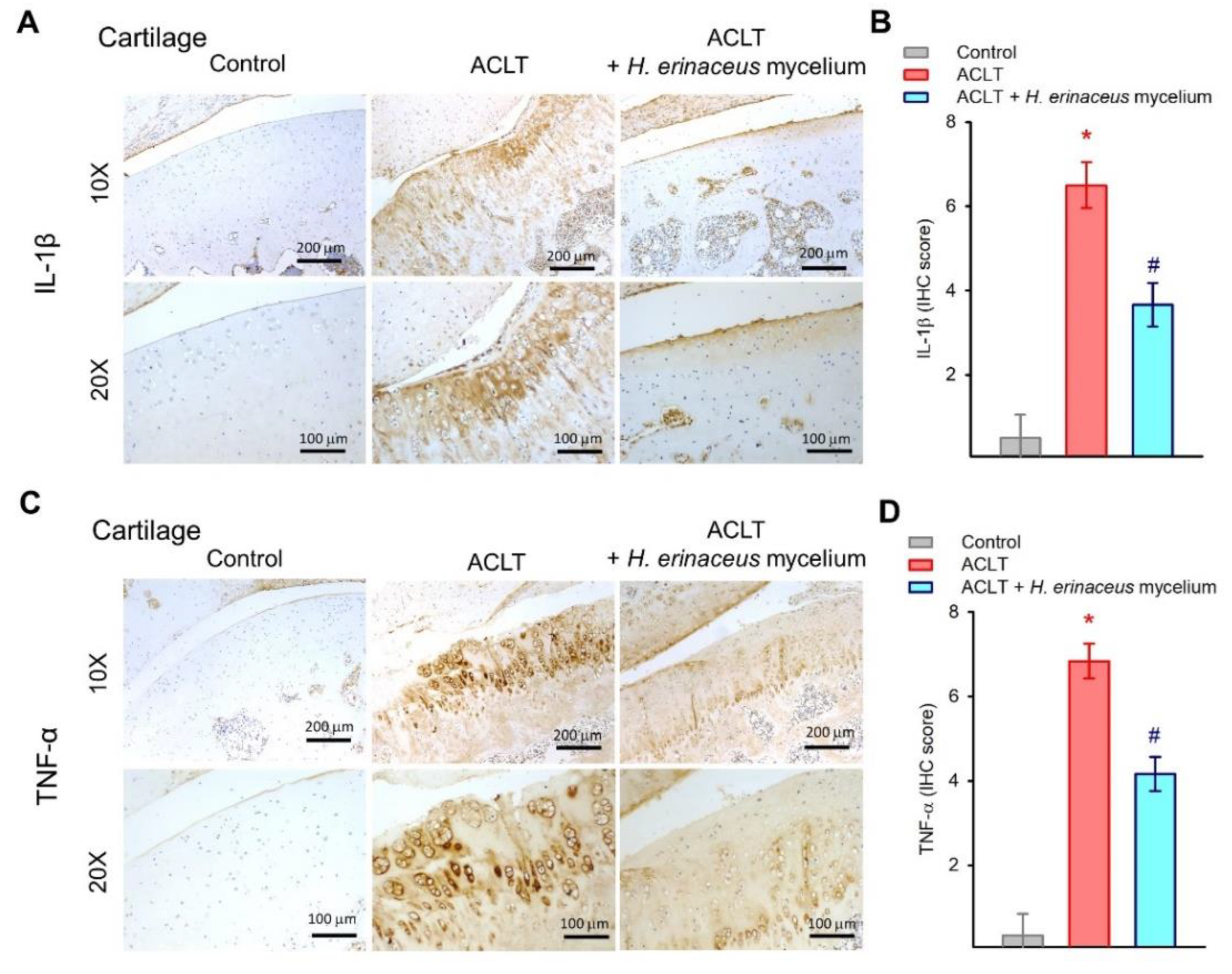 Nutrients 14 02605 g005