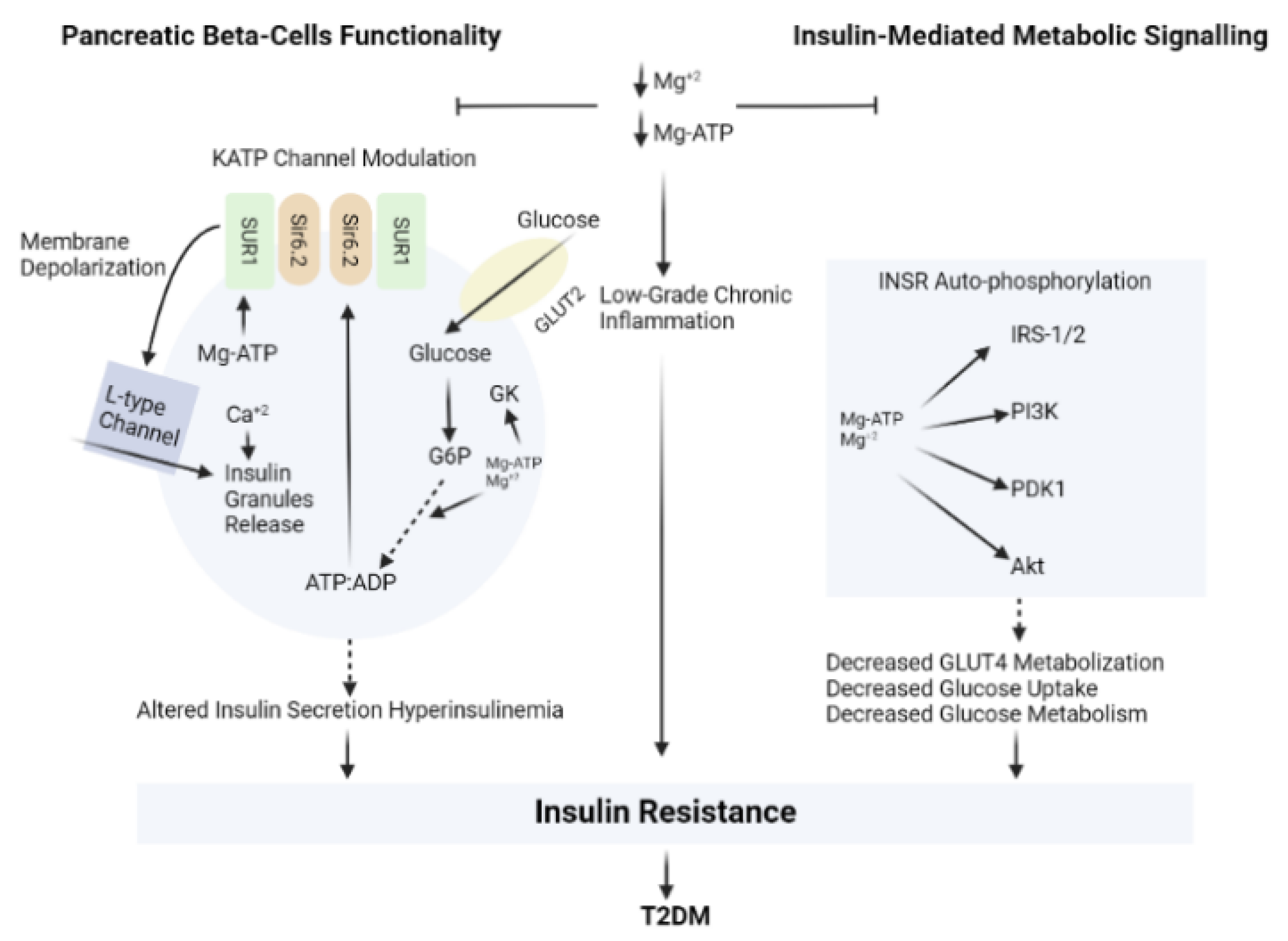 Nutrients 14 02632 g004