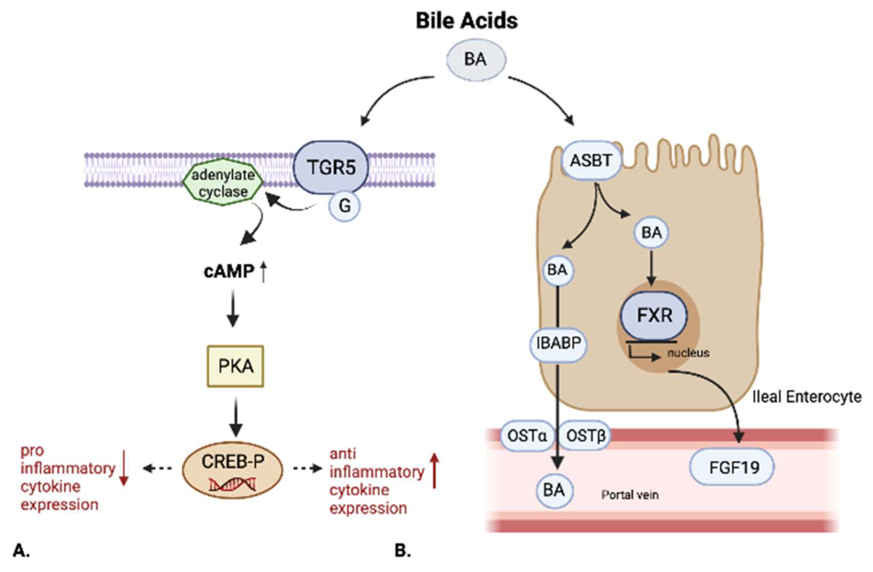 Nutrients 14 02664 g002