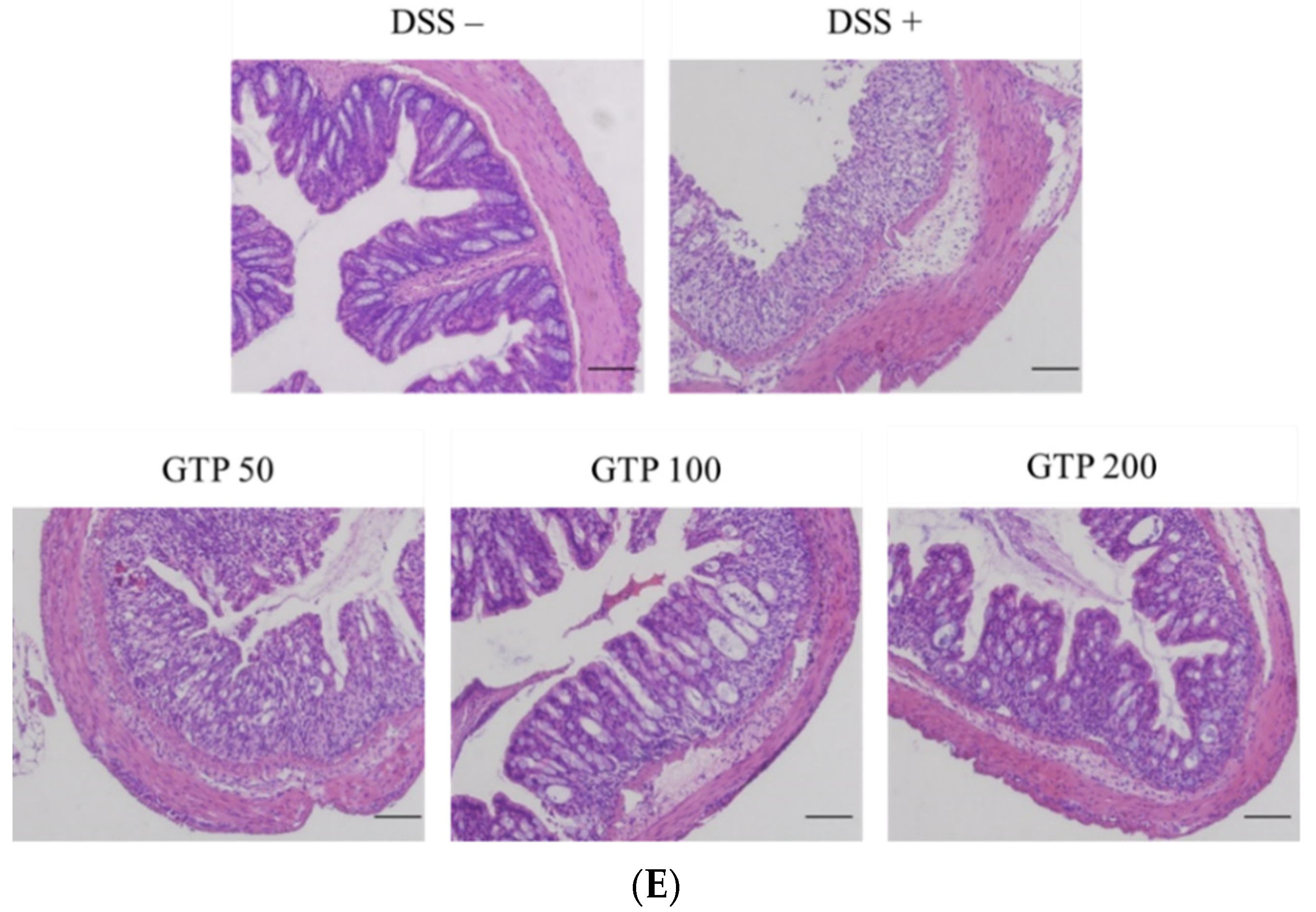 Nutrients 14 02684 g004b
