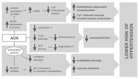 https://www.mdpi.com/nutrients/nutrients-14-02701/article_deploy/html/images/nutrients-14-02701-g001-550.jpg