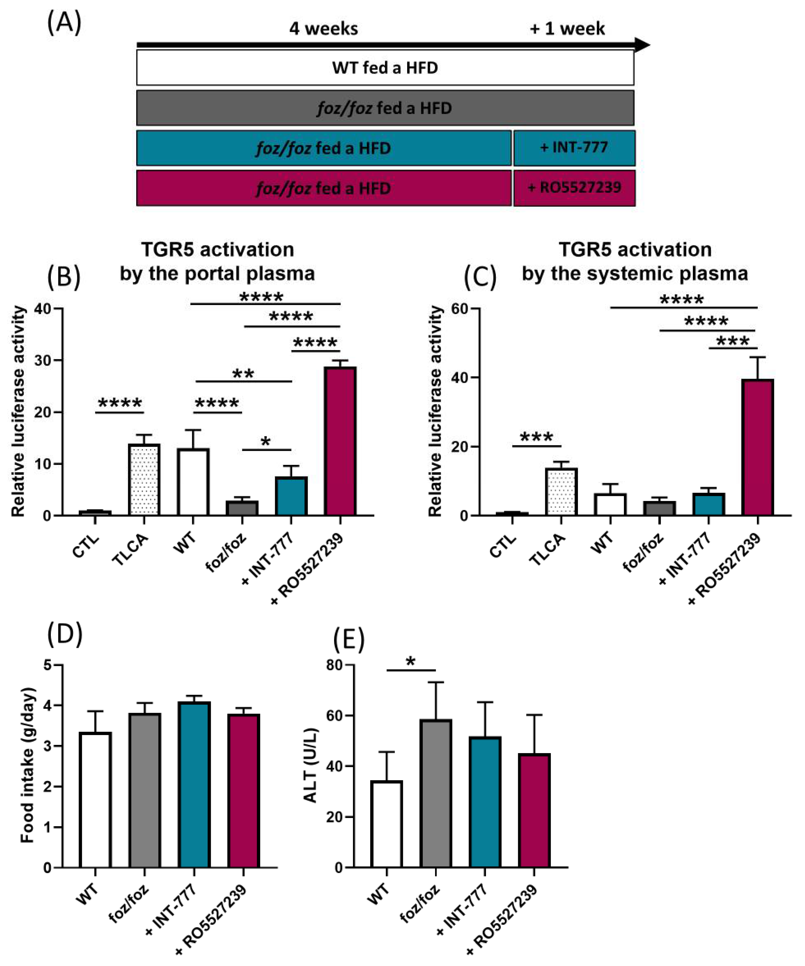 Nutrients 14 02707 g003