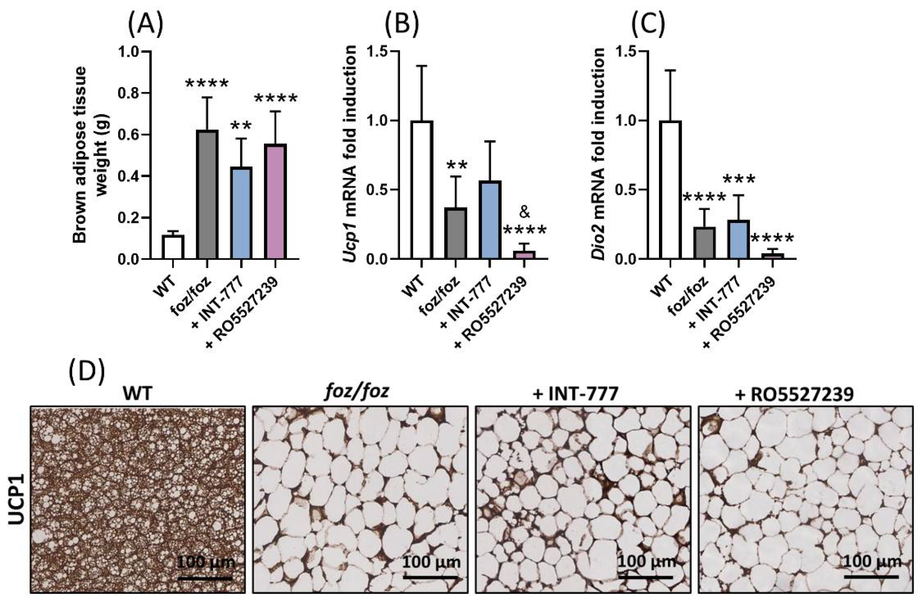 Nutrients 14 02707 g006