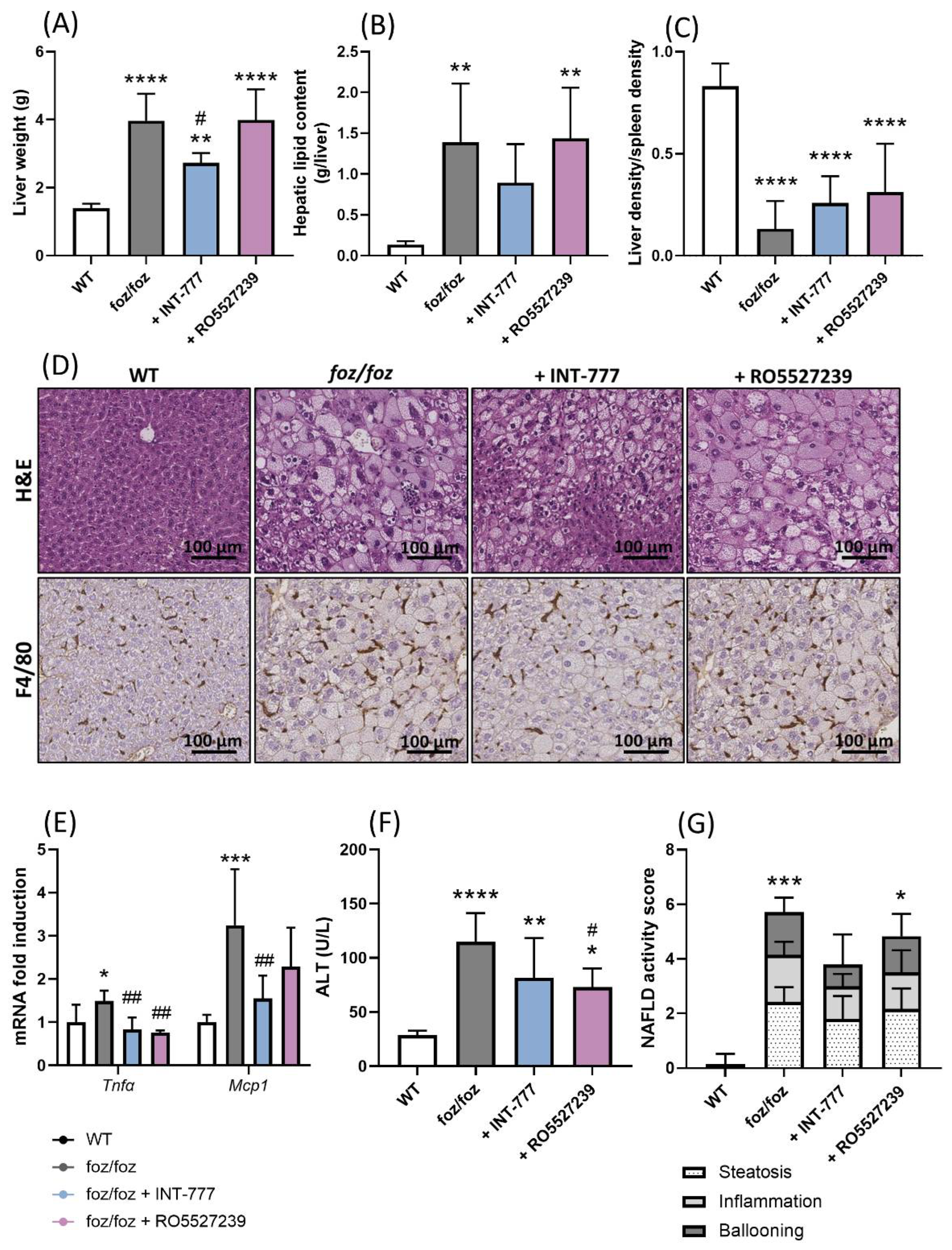 Nutrients 14 02707 g007
