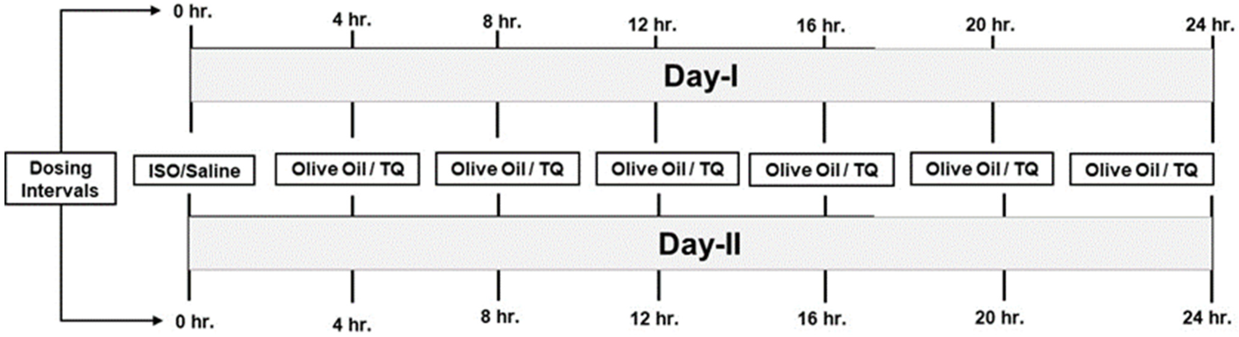 Nutrients 14 02742 g001